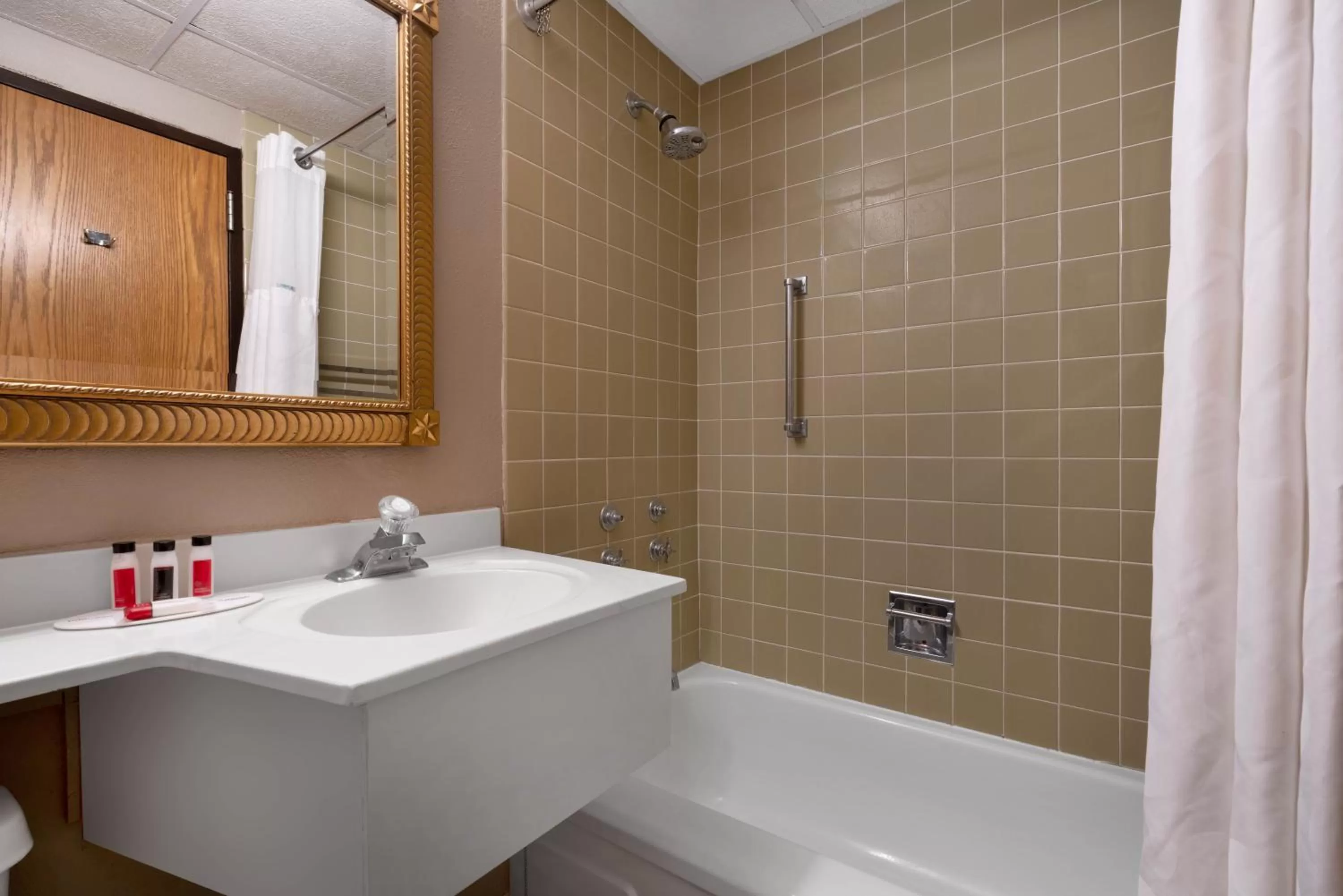 Bathroom in Ramada by Wyndham Albert Lea