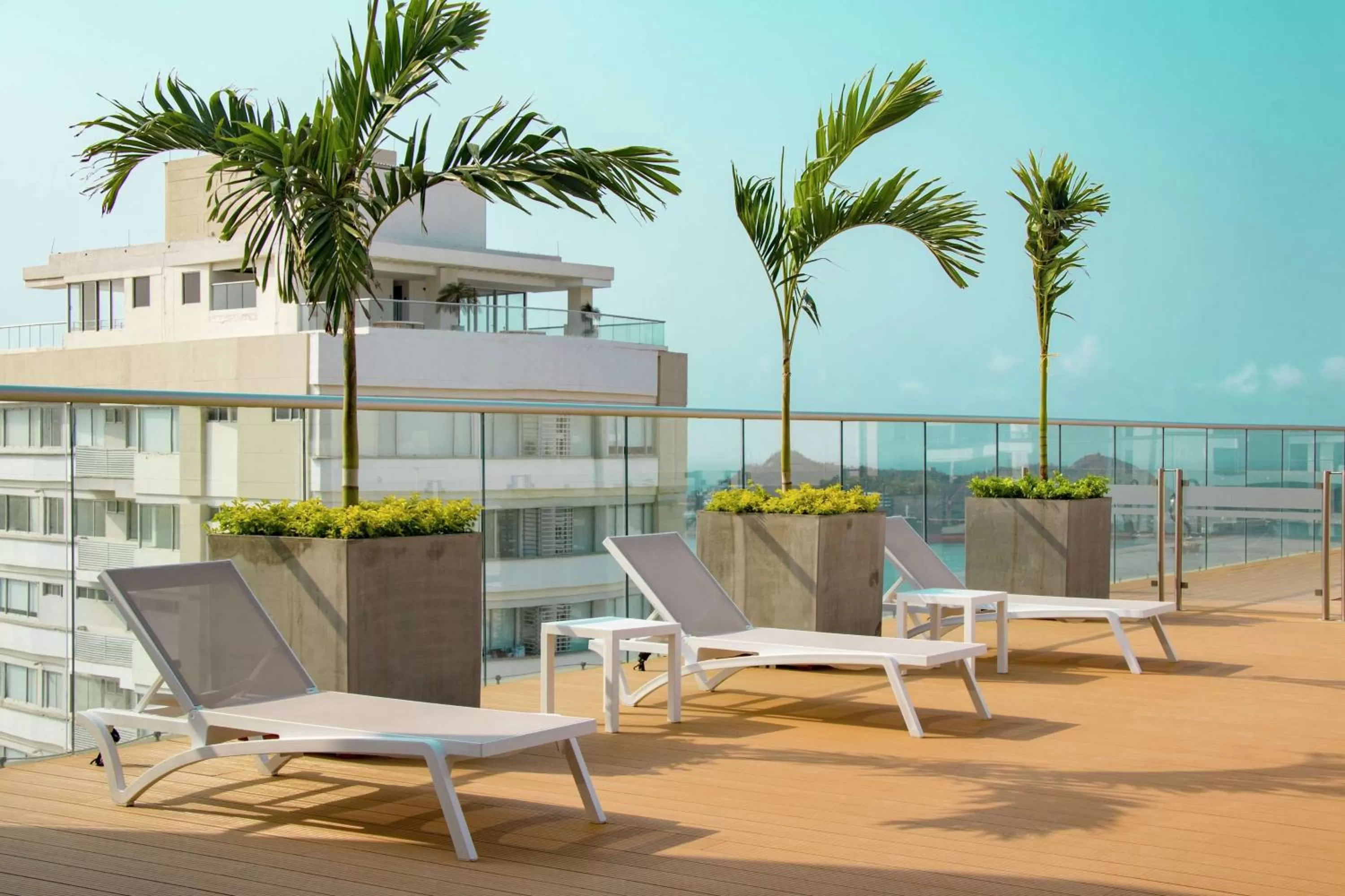 Pool view in Hilton Garden Inn Santa Marta