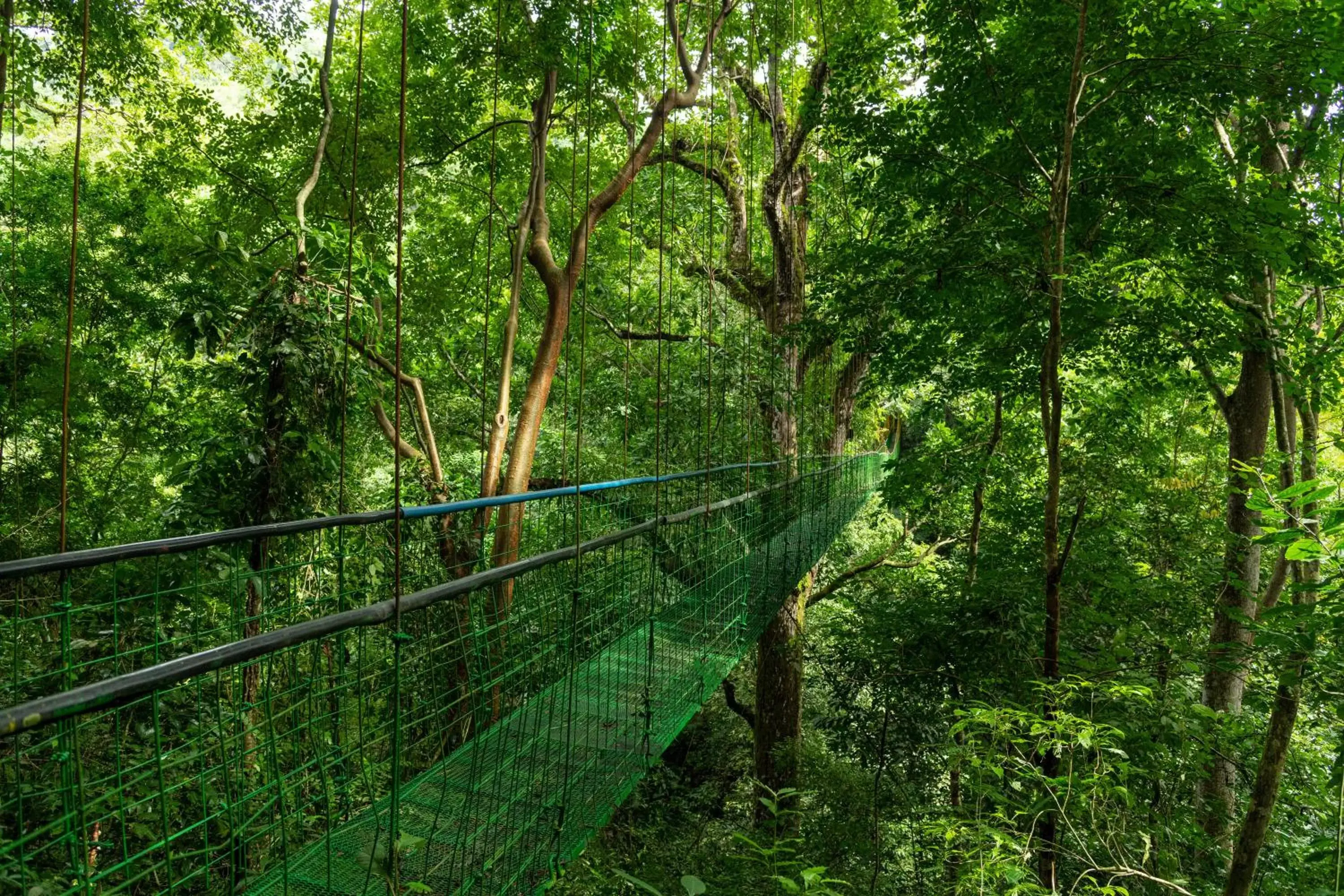 Hiking in Villa Lapas Jungle Village