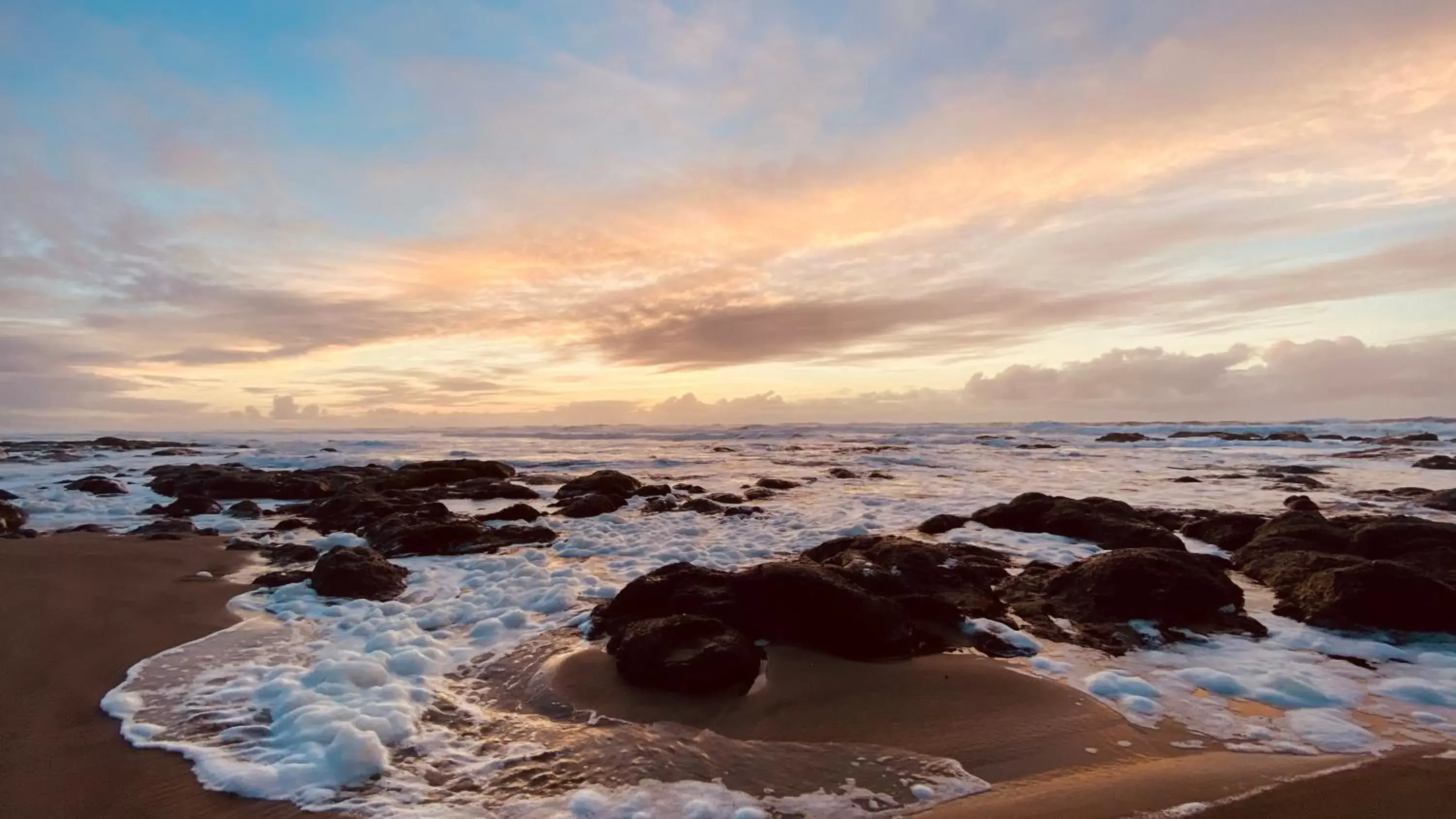 Sea view in Seahorse Oceanfront Lodging