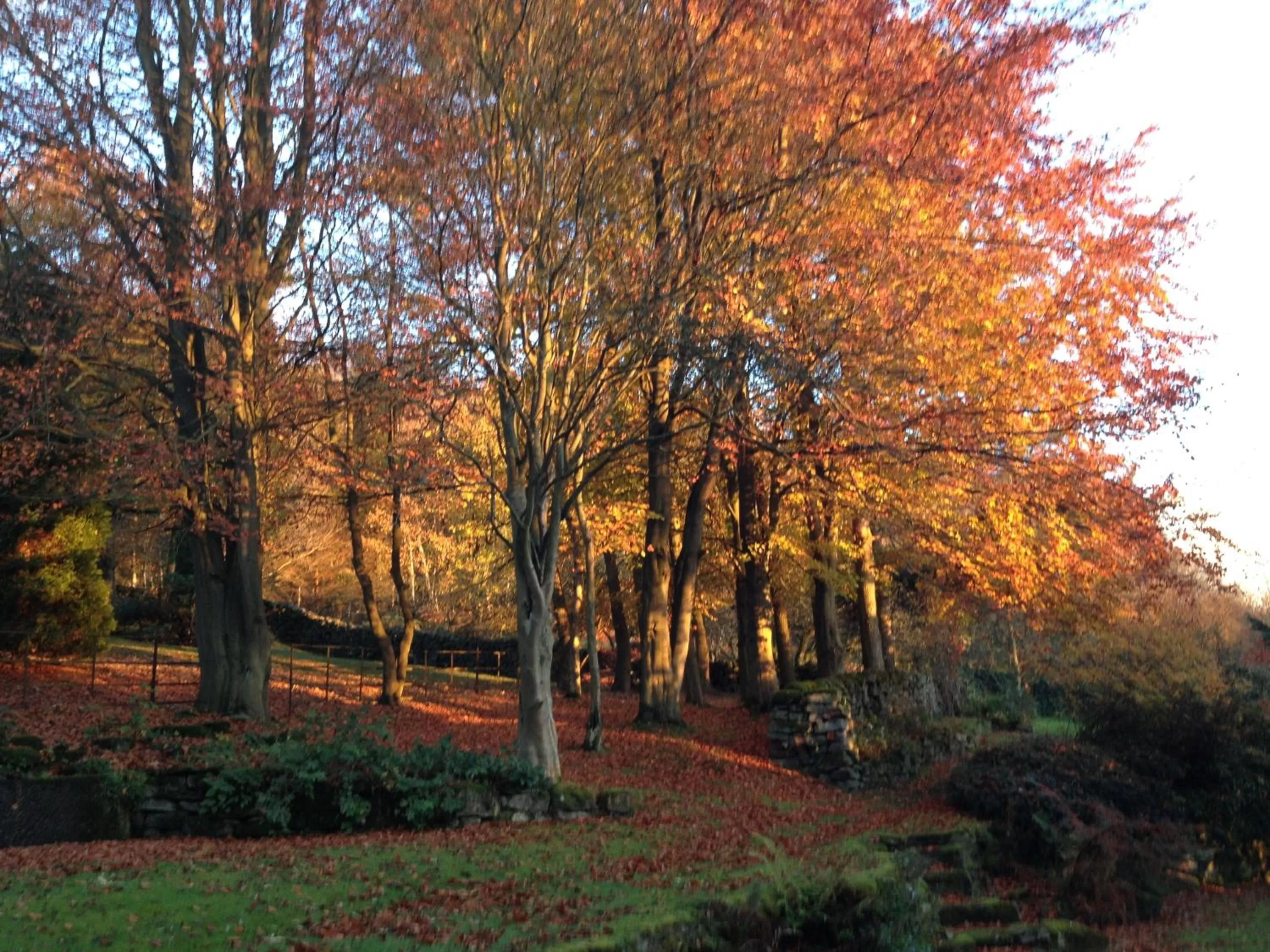 Other in Robin Hood Farm B&B