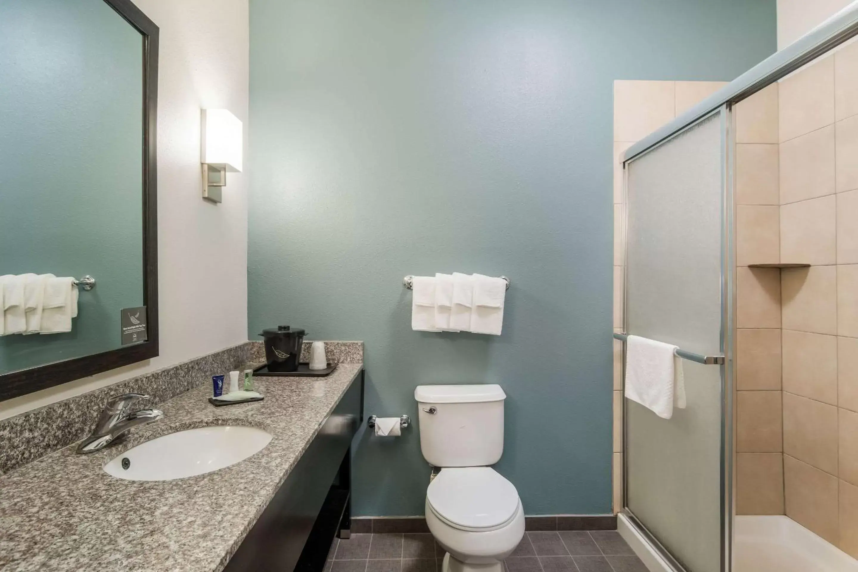 Bathroom in Sleep Inn & Suites at Kennesaw State University