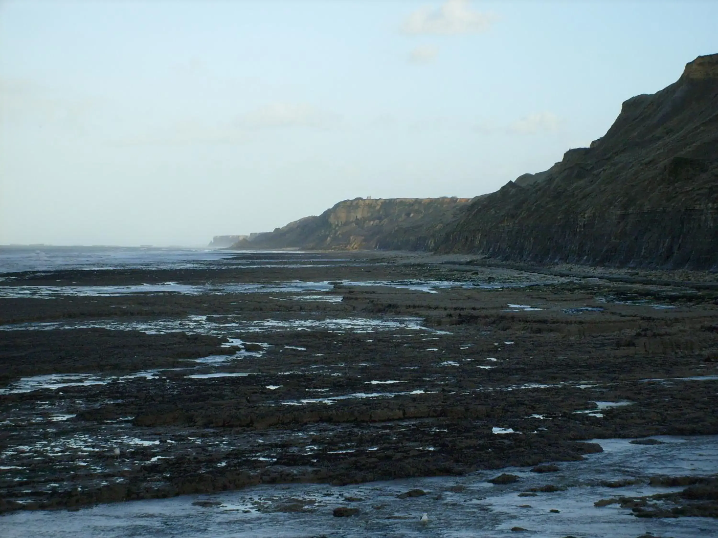 Natural Landscape in Hotel Eisenhower (ex King Hôtel)