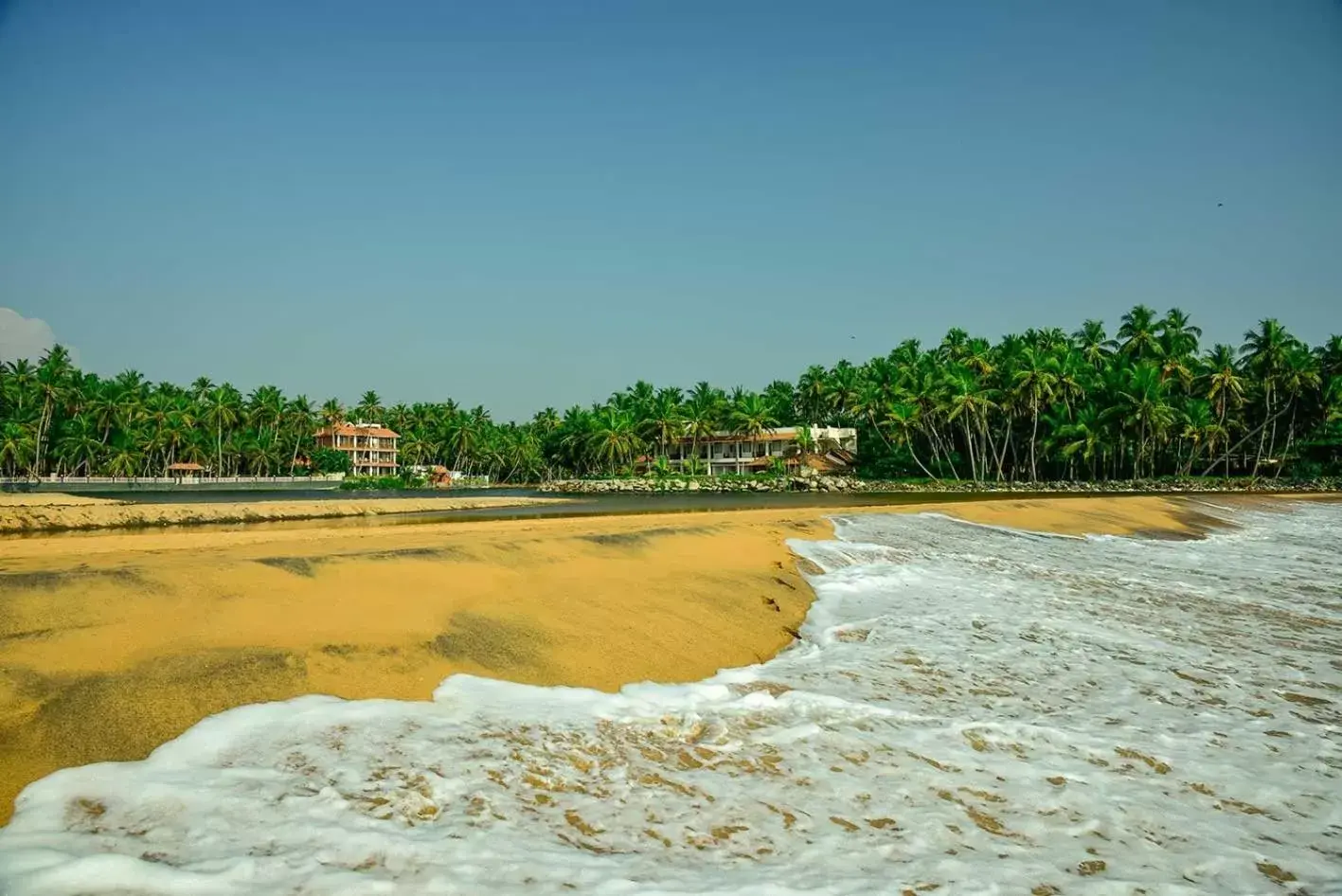 Natural landscape, Beach in Beach and Lake Ayurvedic Resort