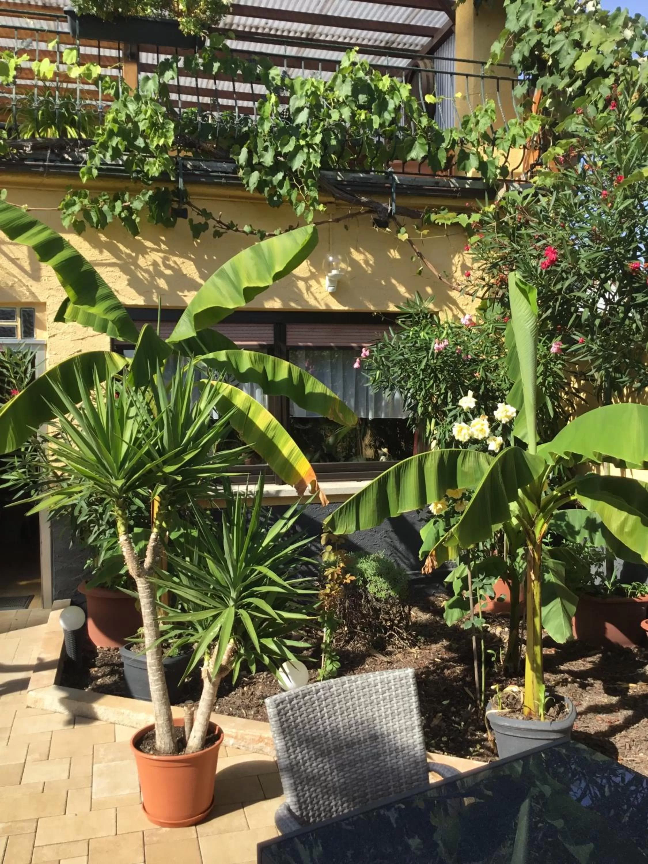 Bed and Breakfast - Rheingauer Hof