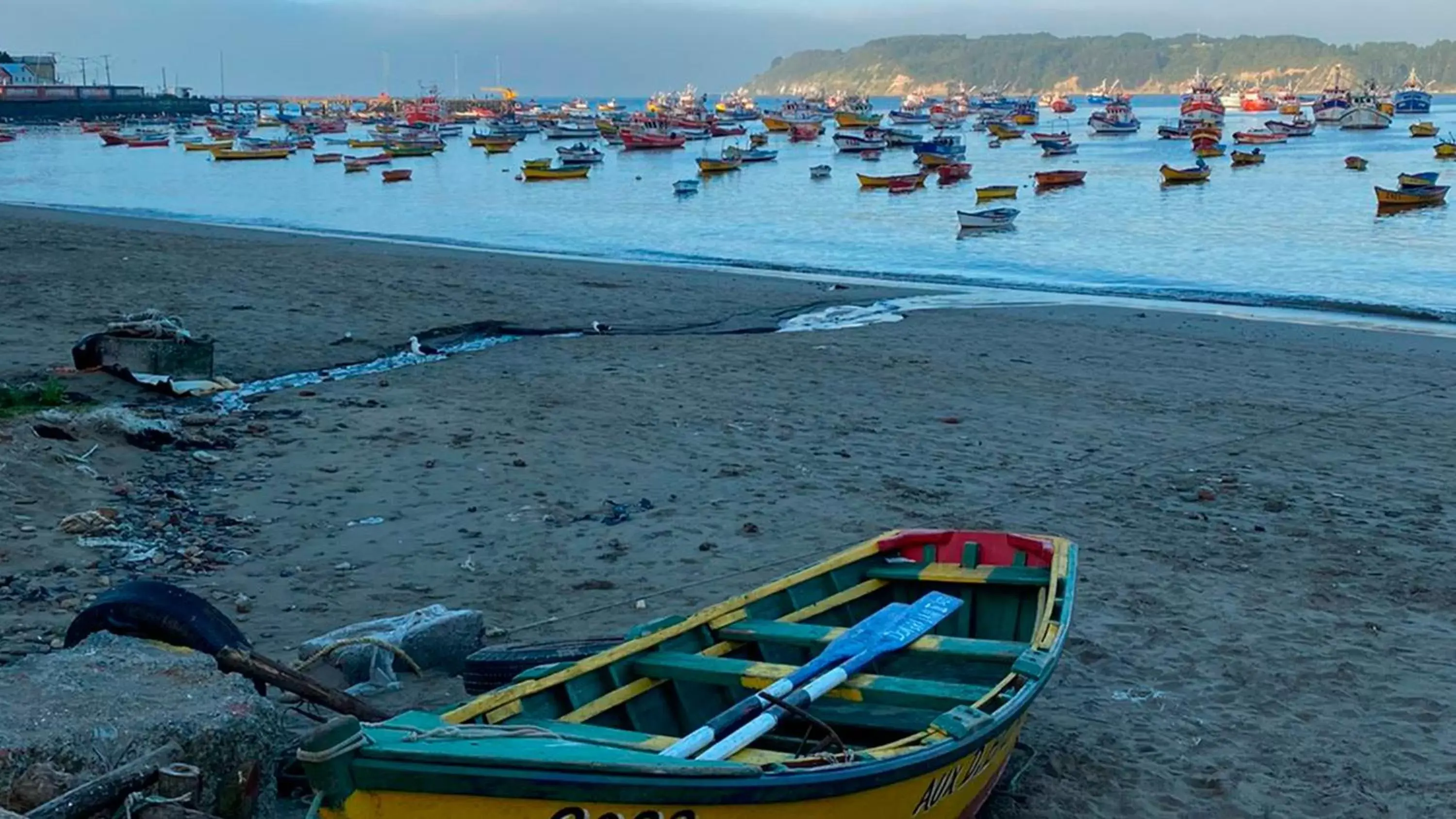 Nearby landmark, Beach in Holiday Inn Express - Concepcion, an IHG Hotel