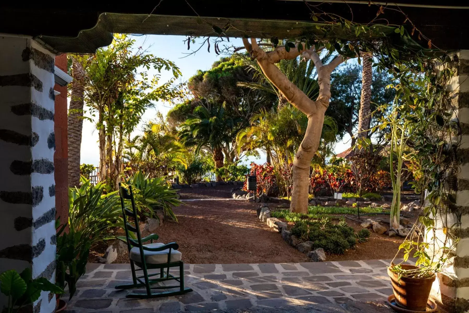 Patio in Parador de La Gomera