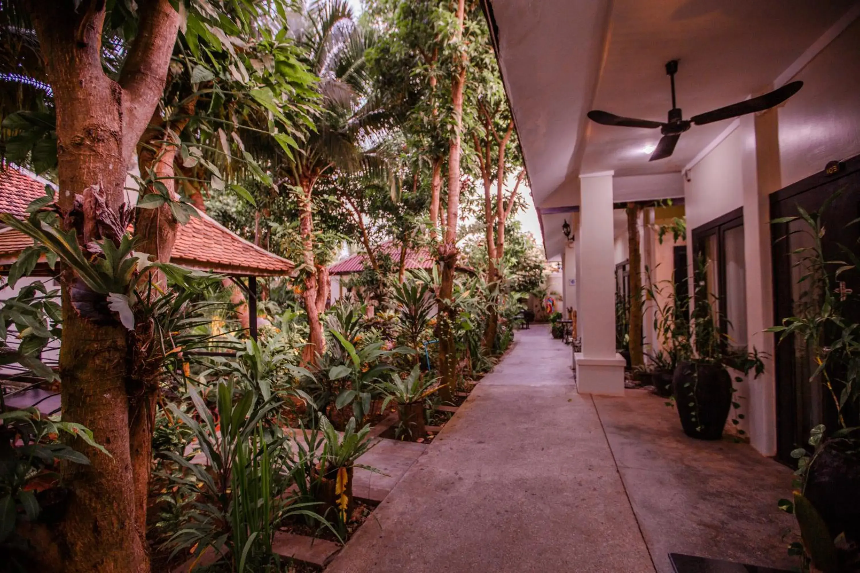 Garden in The Sanctuary Villa Battambang