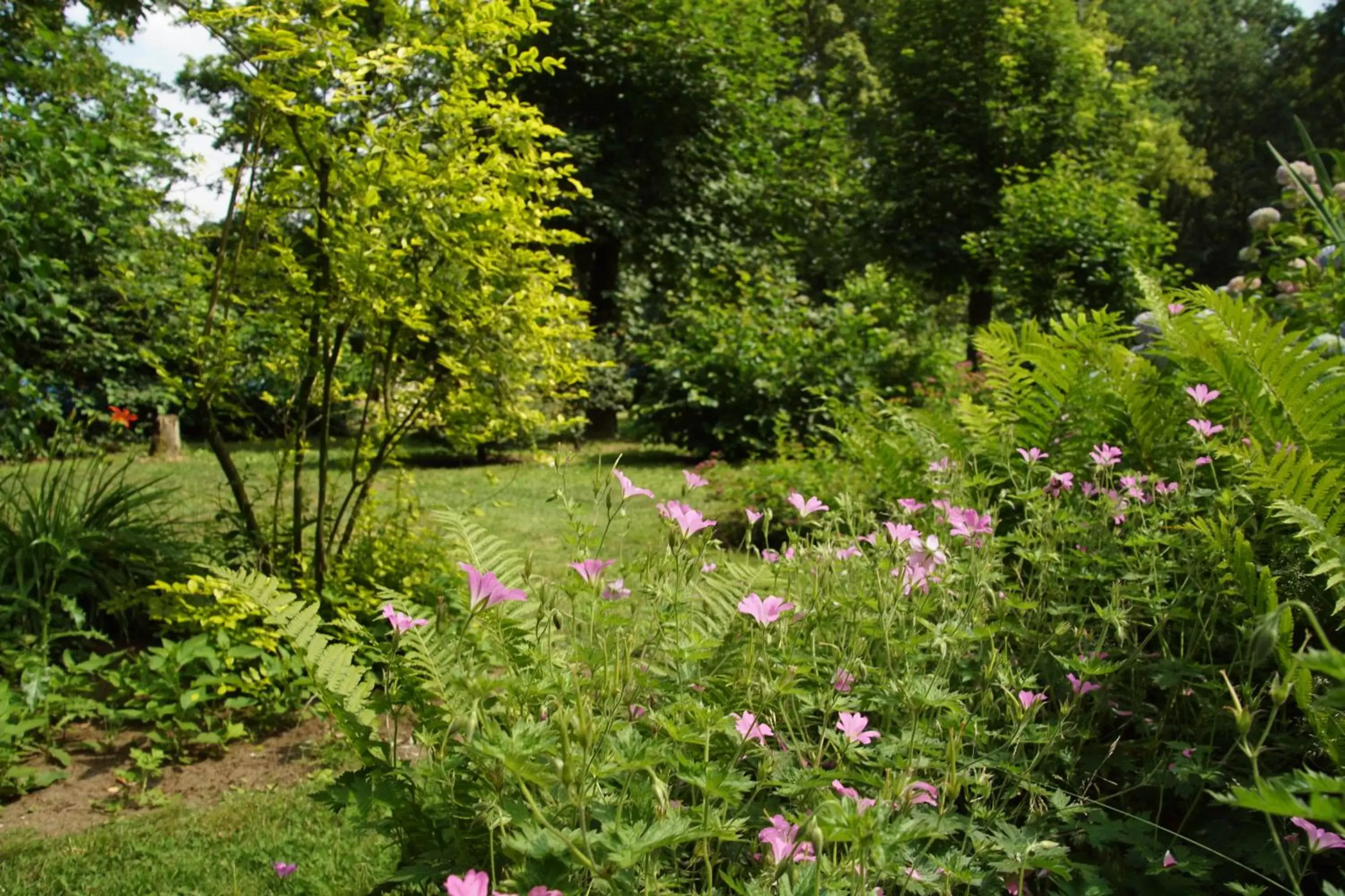 Garden in Bed & Breakfast aan de Beek