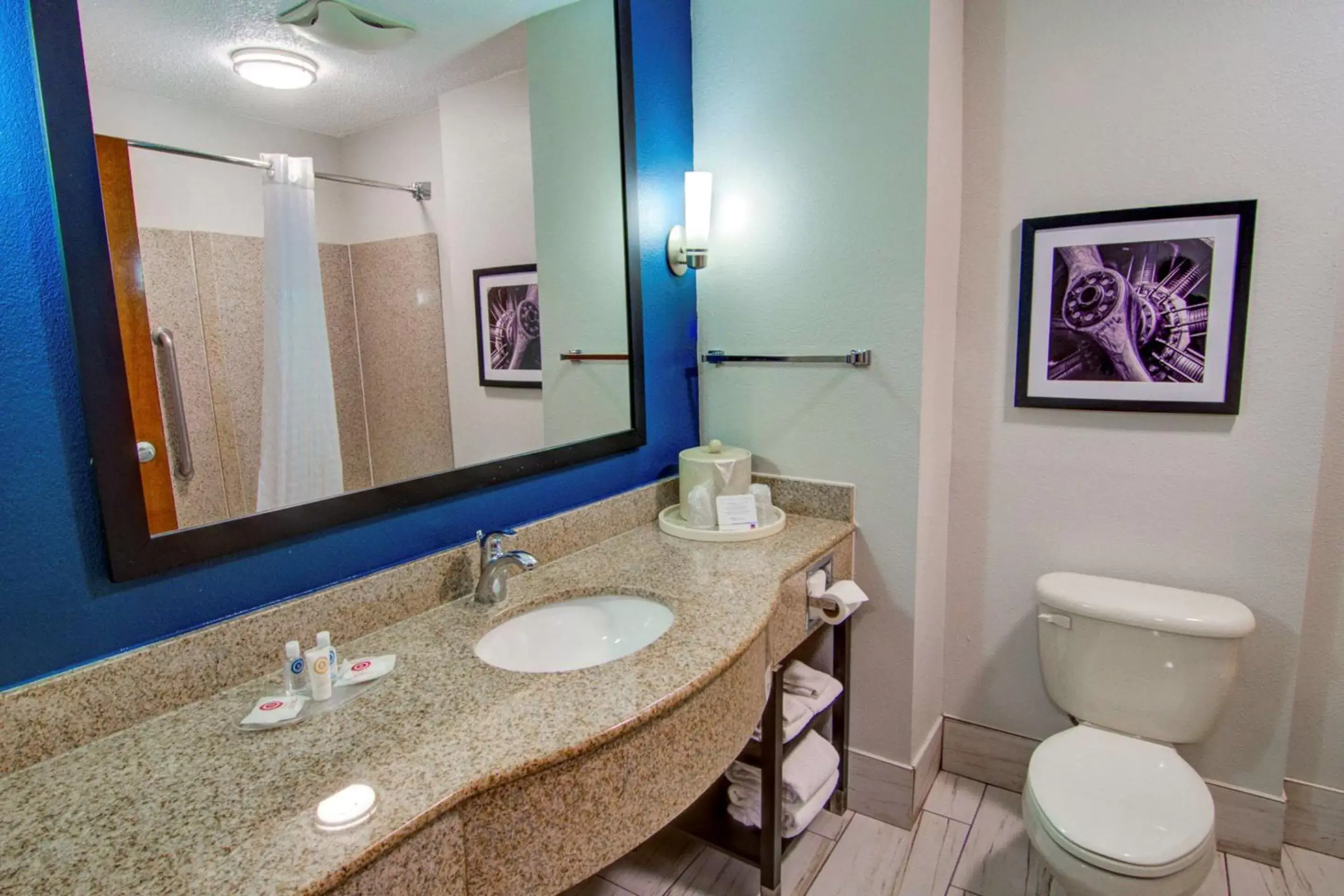 Photo of the whole room, Bathroom in Comfort Suites Newport News Airport