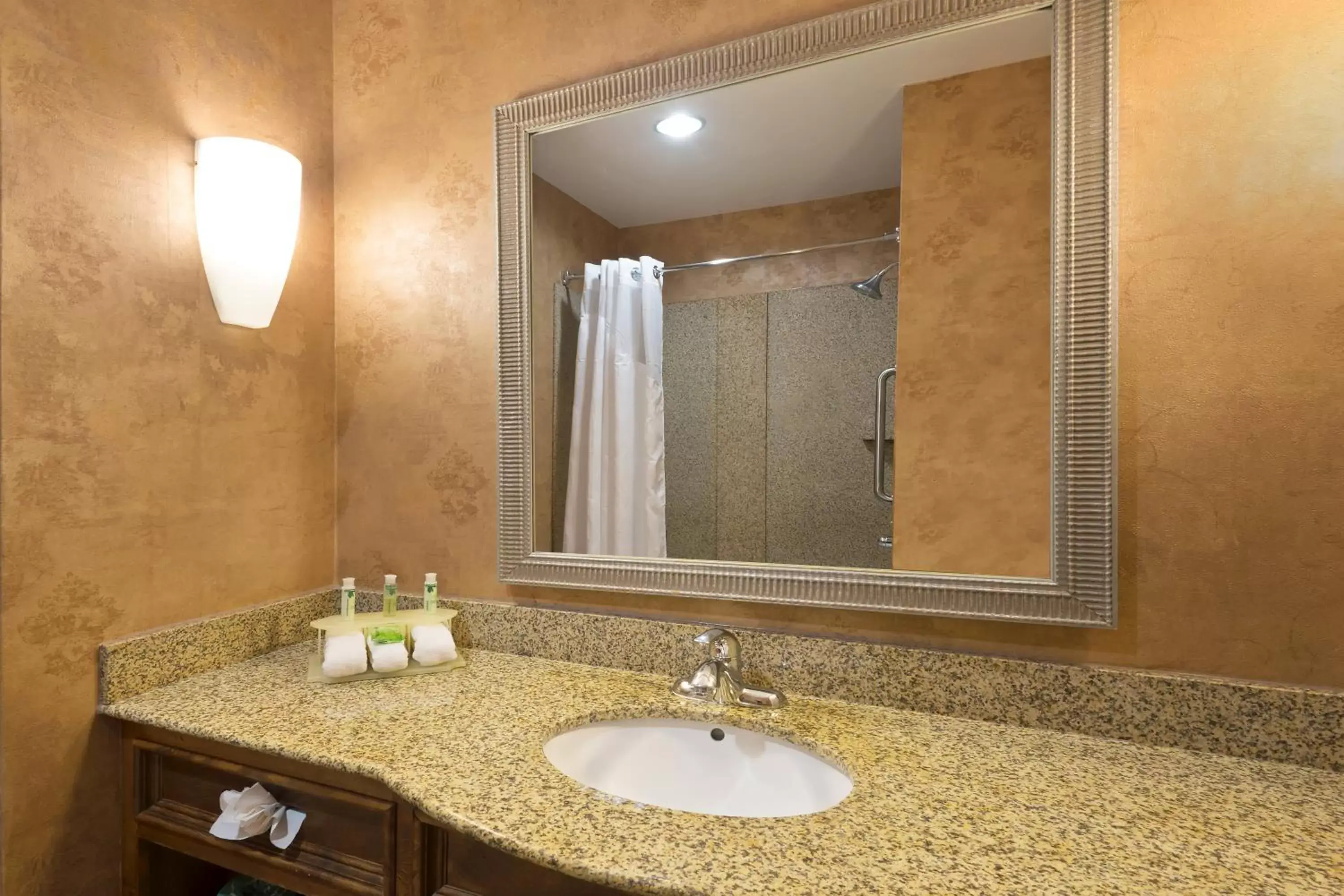 Bathroom in Holiday Inn Express Suites Little Rock West, an IHG Hotel