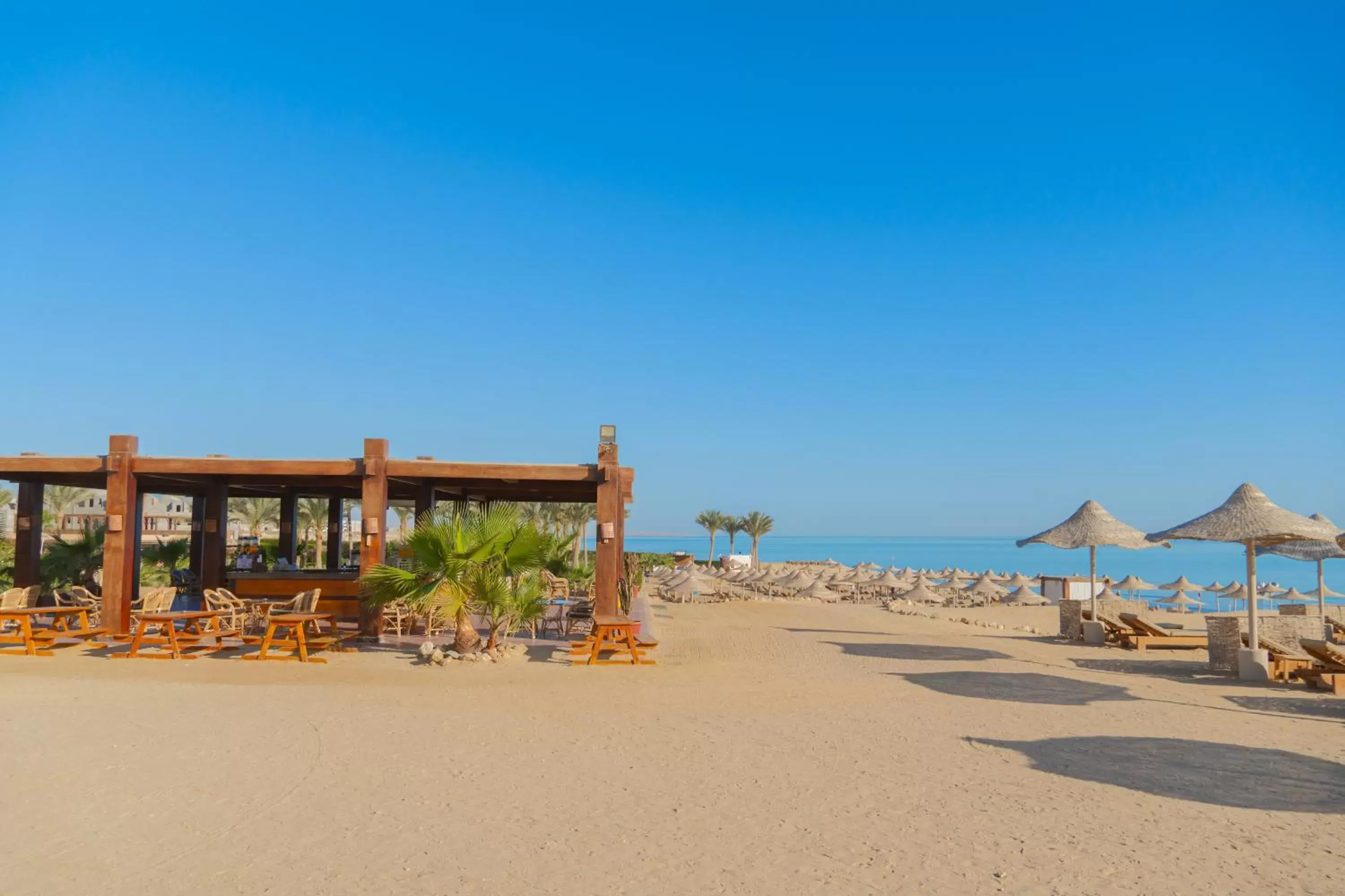 Lounge or bar, Beach in Gemma Resort