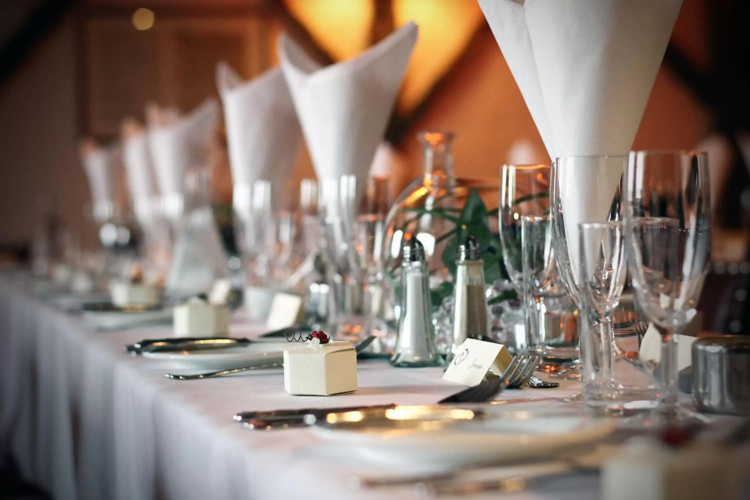 Banquet/Function facilities, Restaurant/Places to Eat in The Old White Lion Hotel