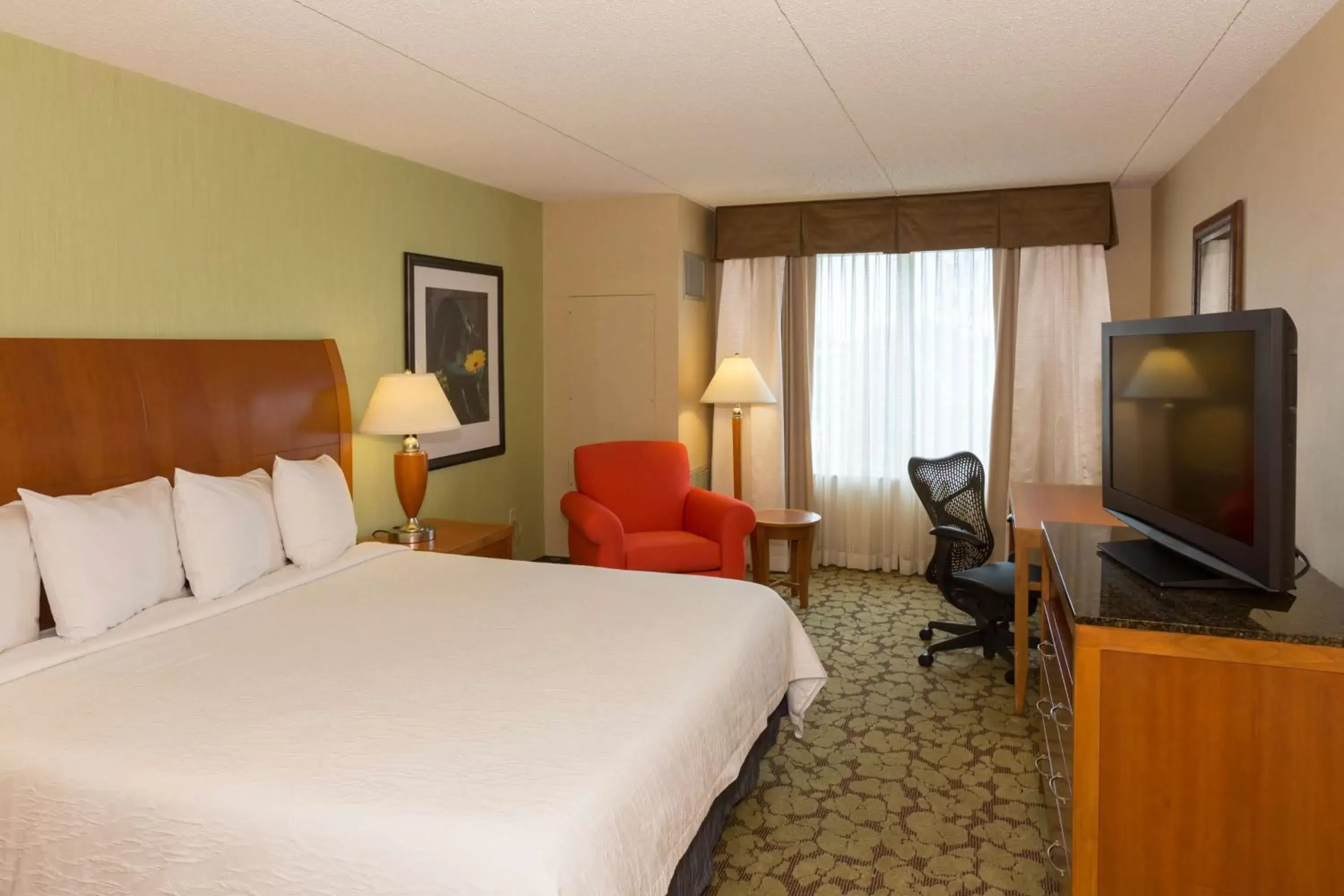 Bedroom, TV/Entertainment Center in Hilton Garden Inn Buffalo Airport