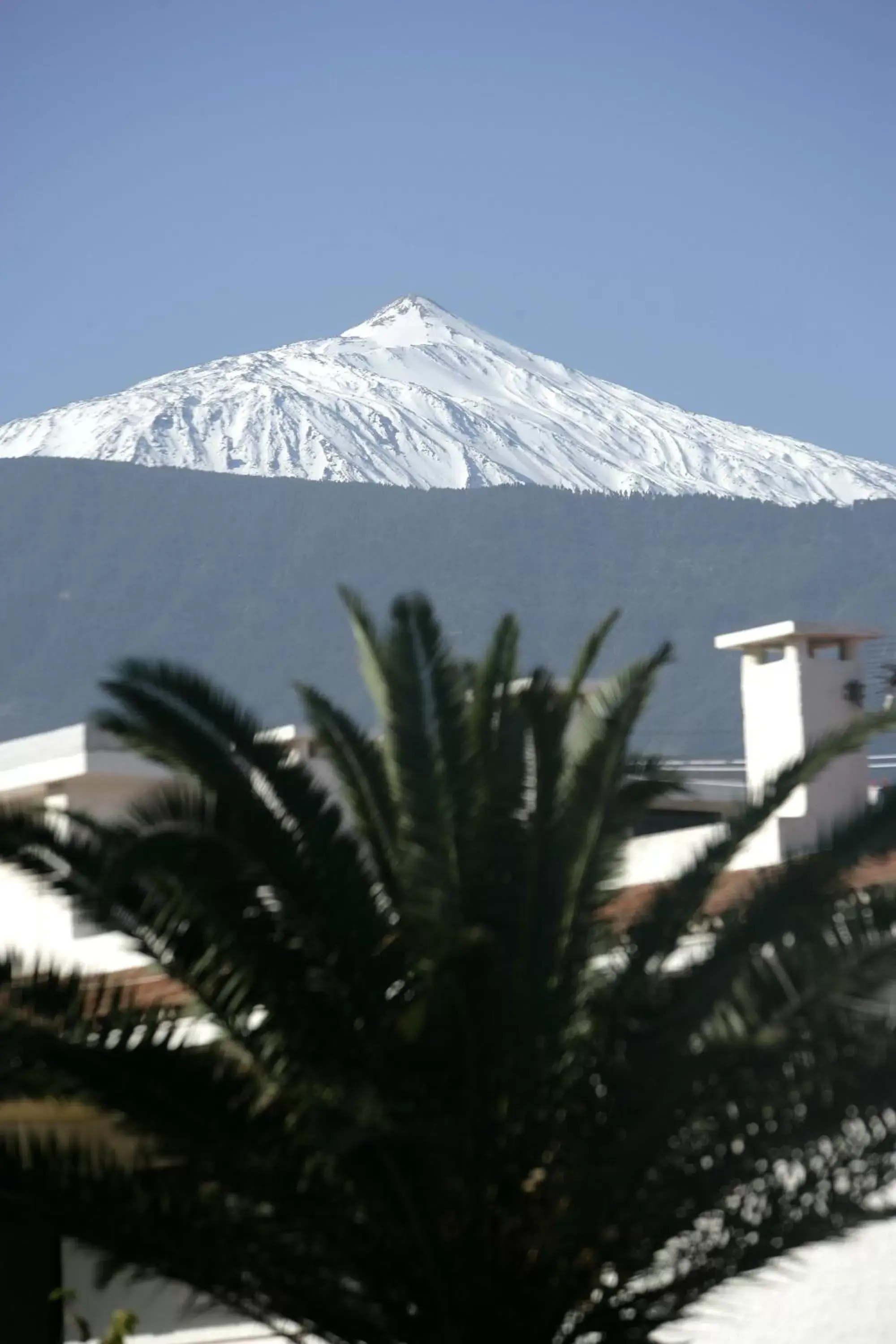 View (from property/room), Mountain View in H10 Tenerife Playa