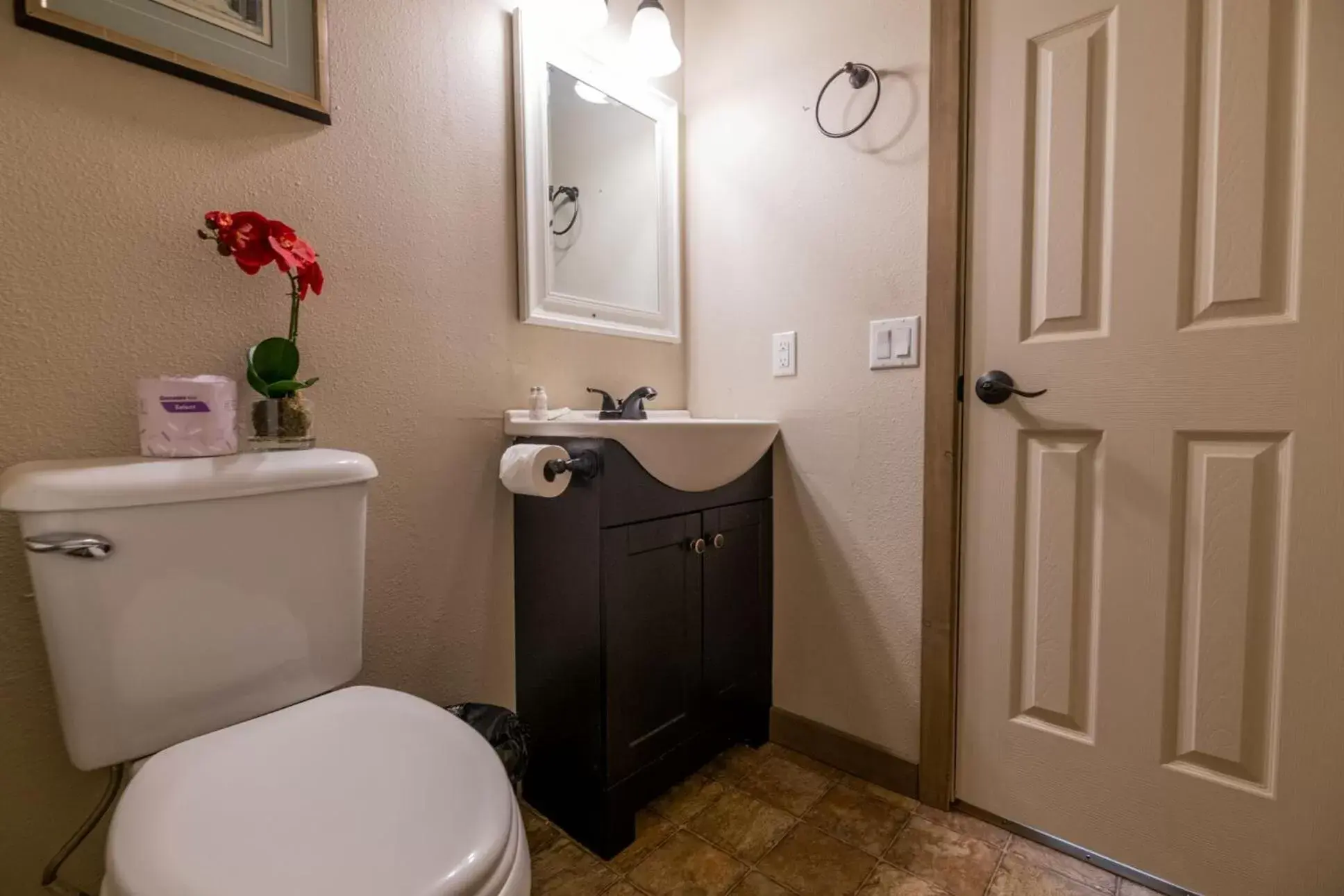 Bathroom in Black Forest Lodge