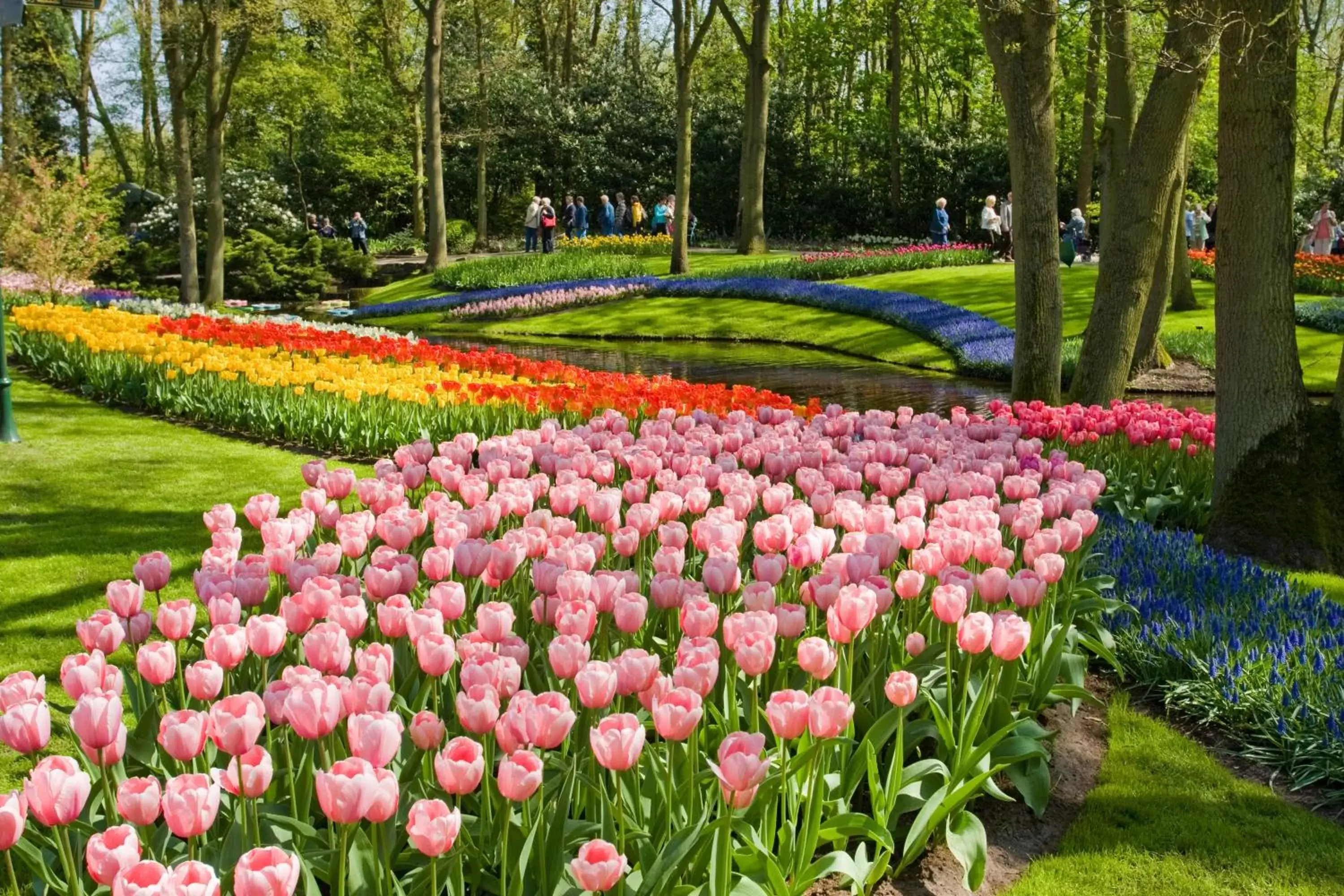 Area and facilities, Garden in Golden Tulip Leiden Centre