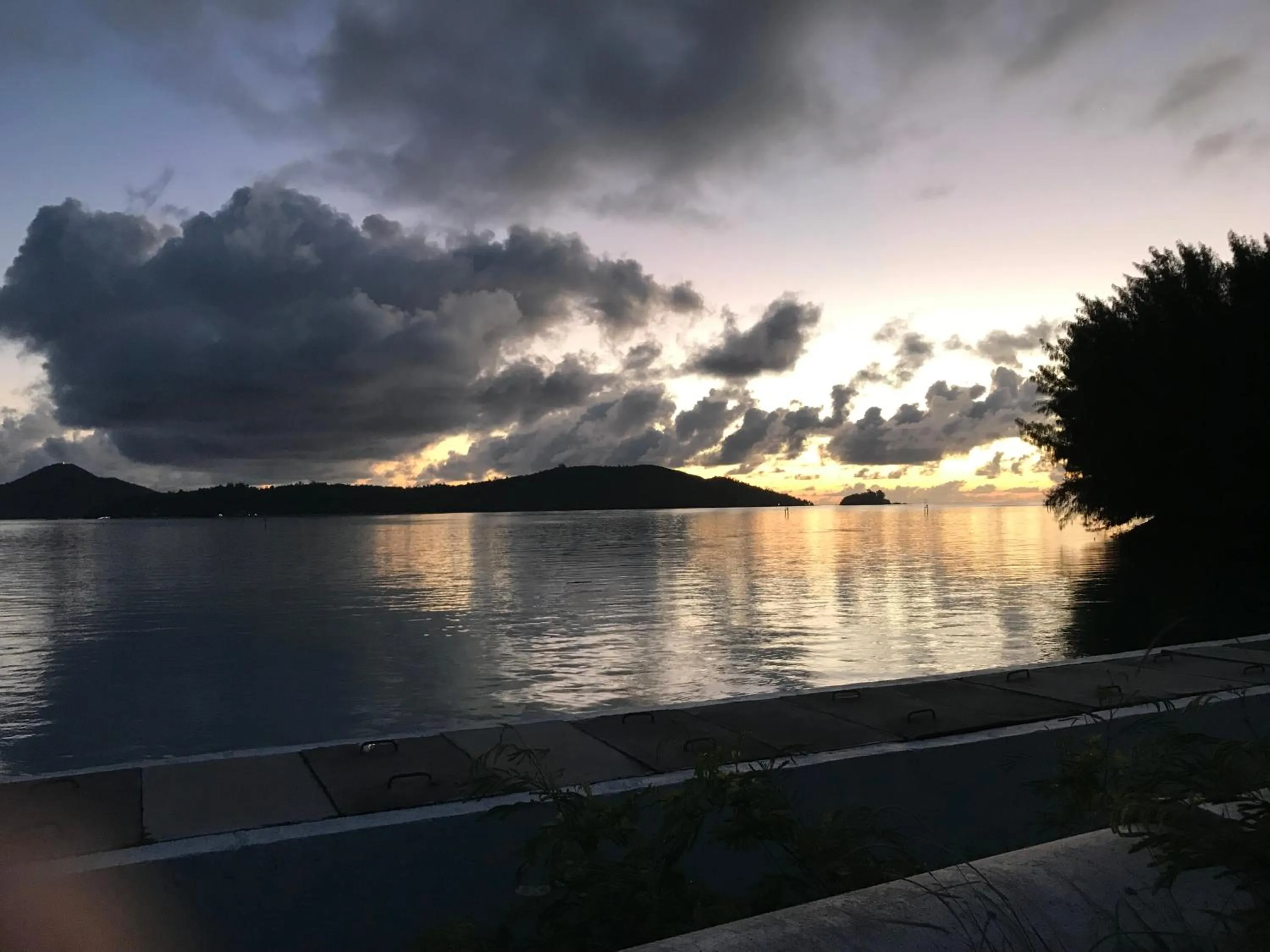 Sunrise in Forest Lodge