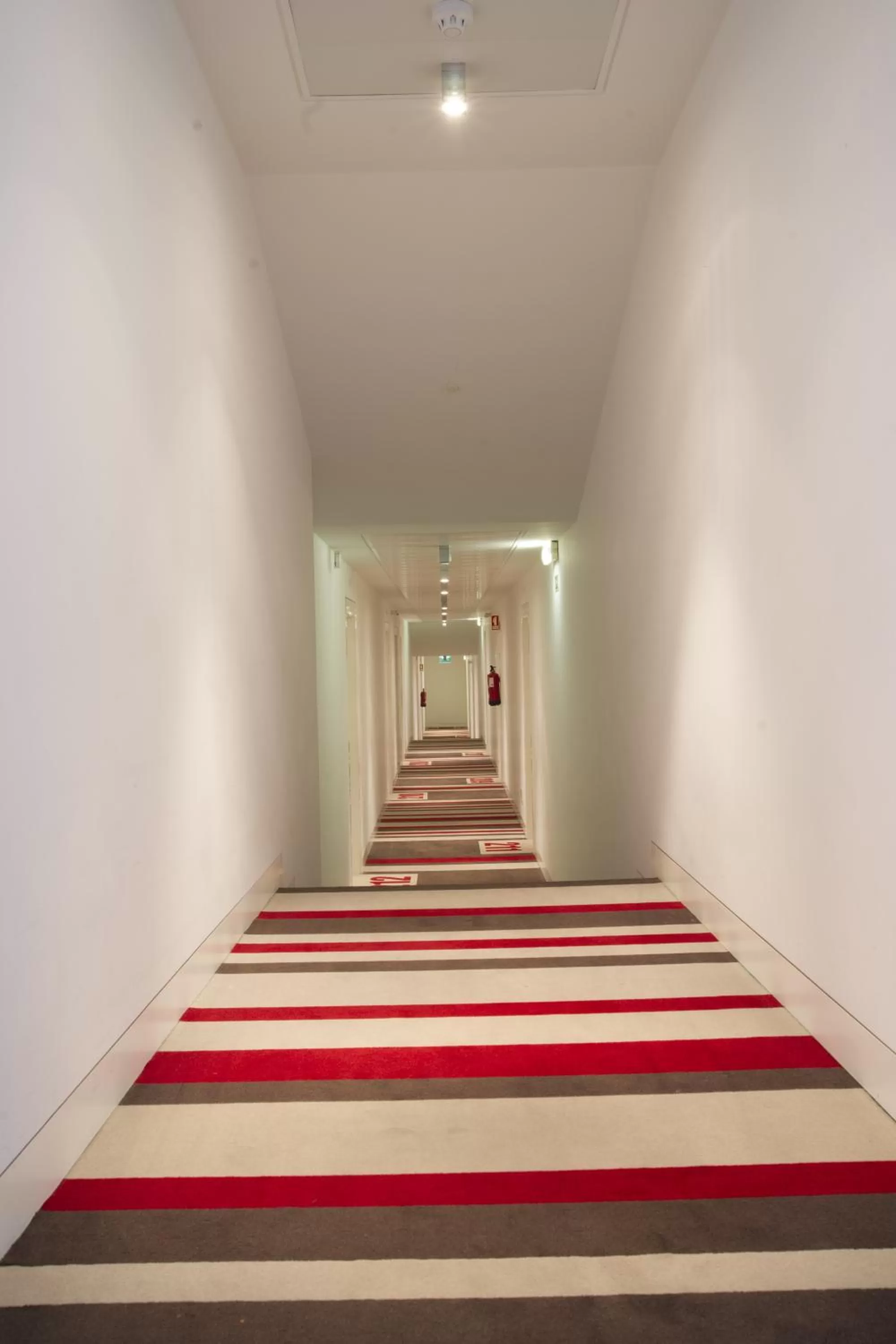 Area and facilities in Hotel Jeronimos 8