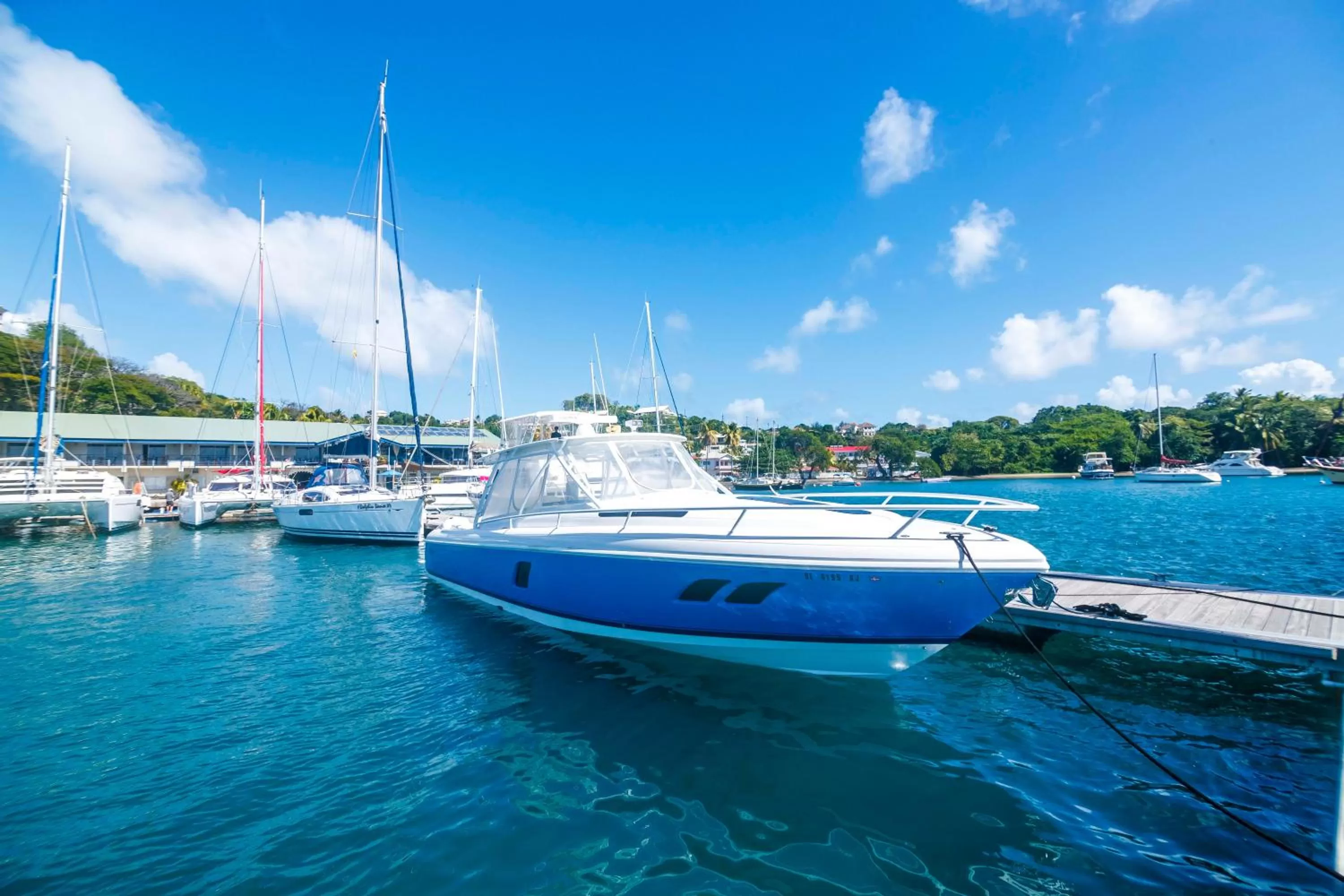 Natural landscape in Blue Lagoon Hotel and Marina Ltd