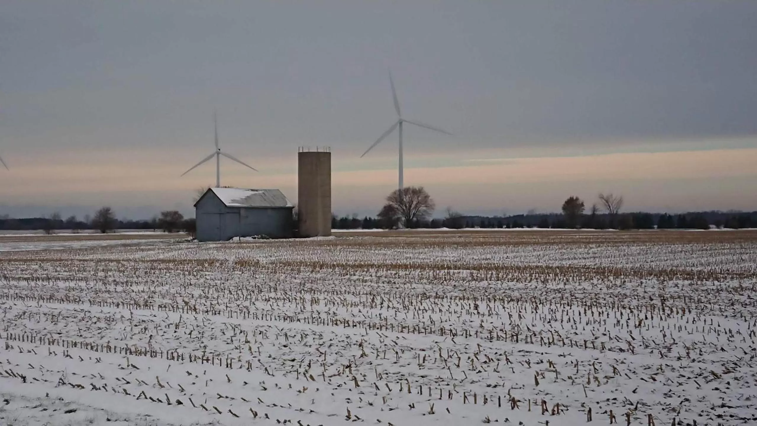 Neighbourhood, Winter in Colborne Bed and Breakfast