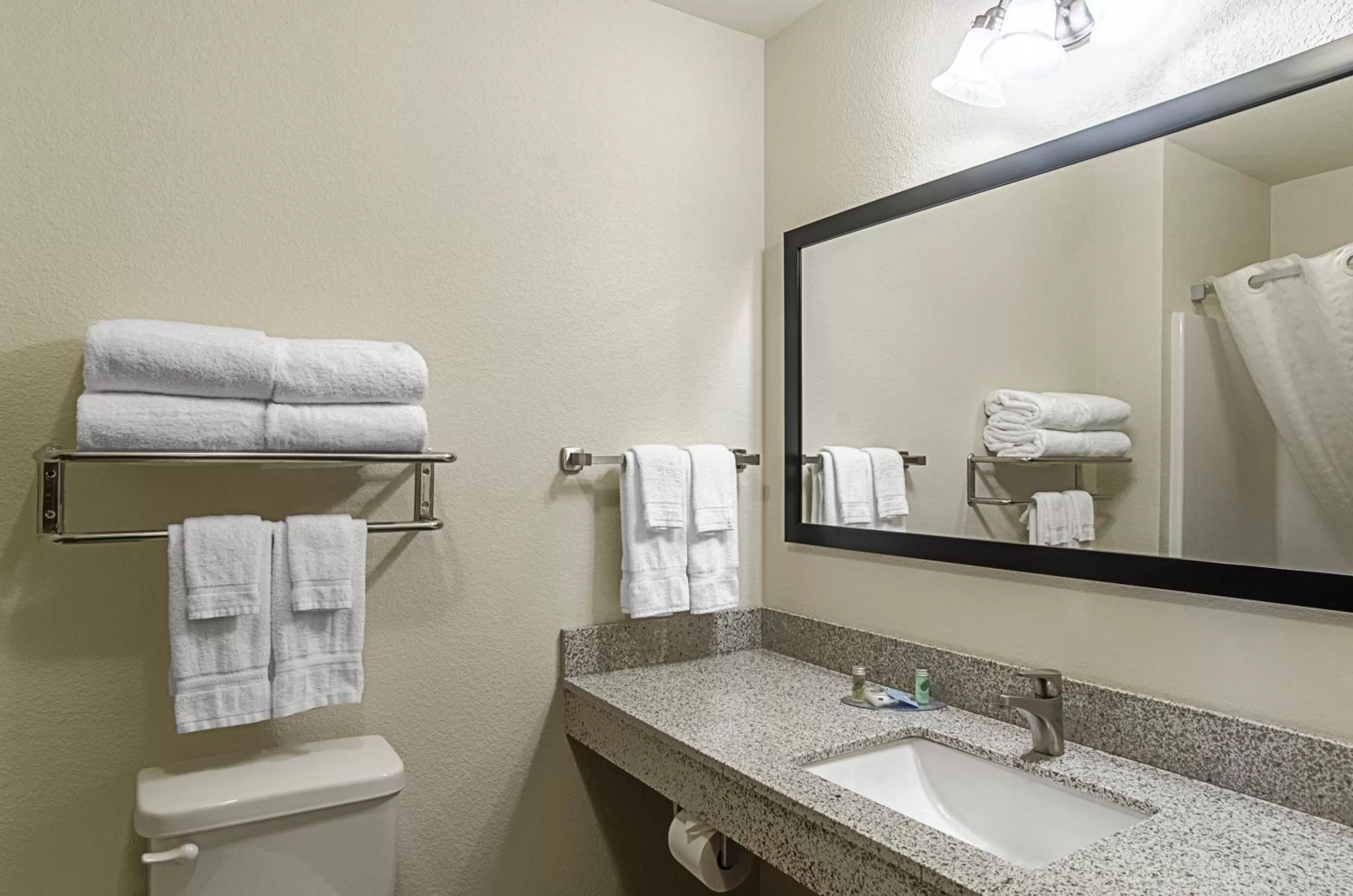 Toilet in Cobblestone Inn & Suites - Guernsey