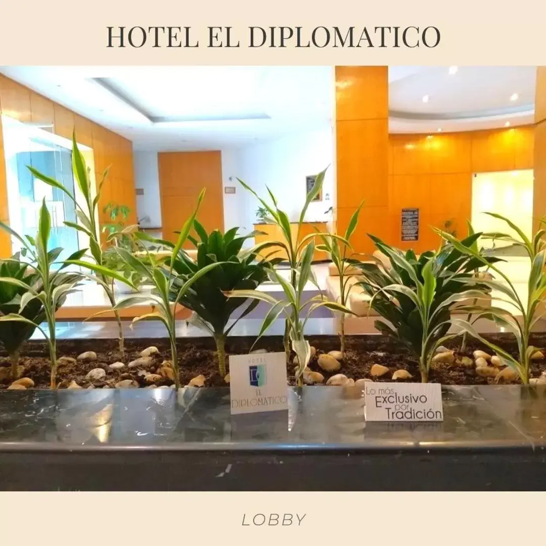 Area and facilities in El Diplomatico