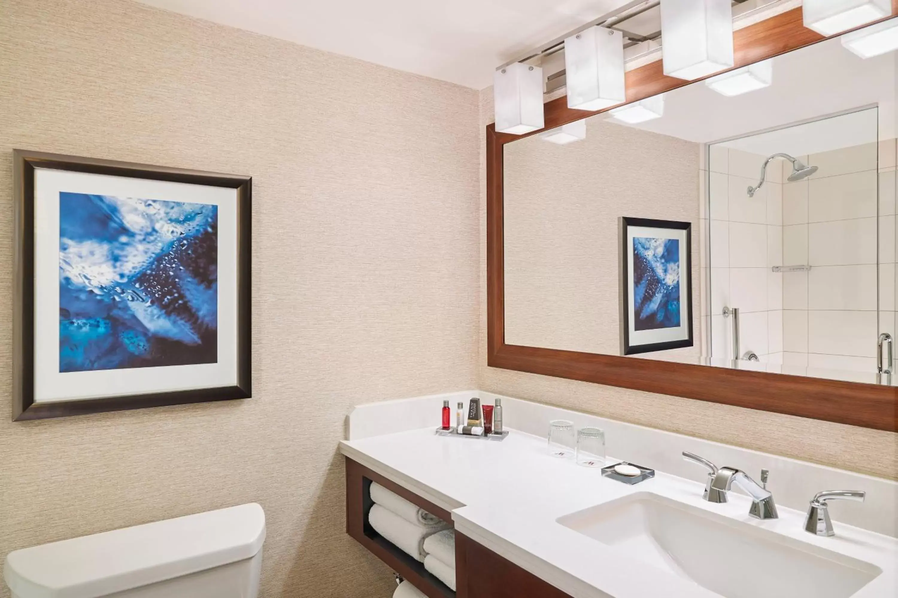 Bathroom in Marriott Chicago O’Hare