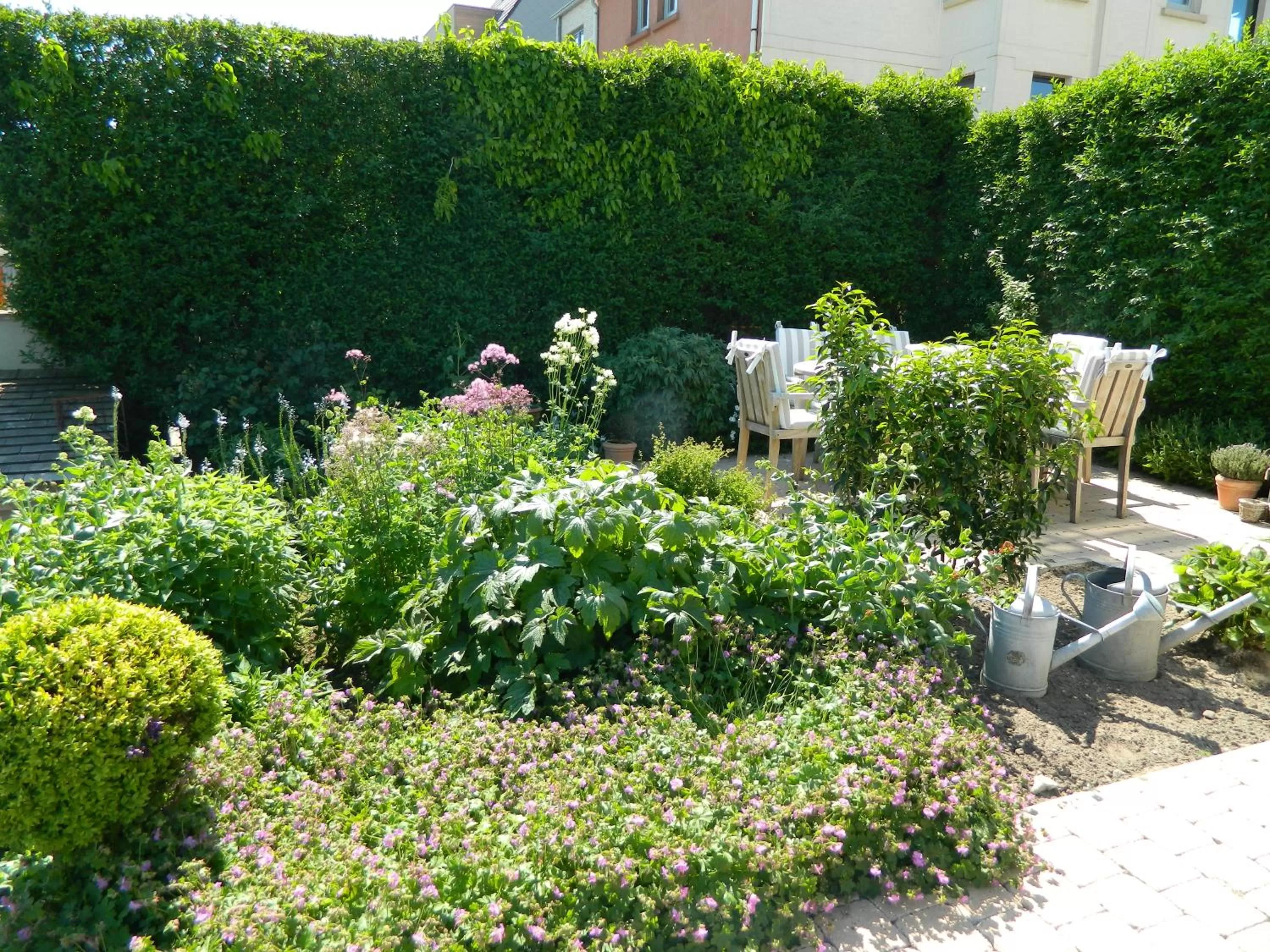 Garden in Bed & Breakfast Het Zilte Zand - Westende - Middelkerke - De Kust