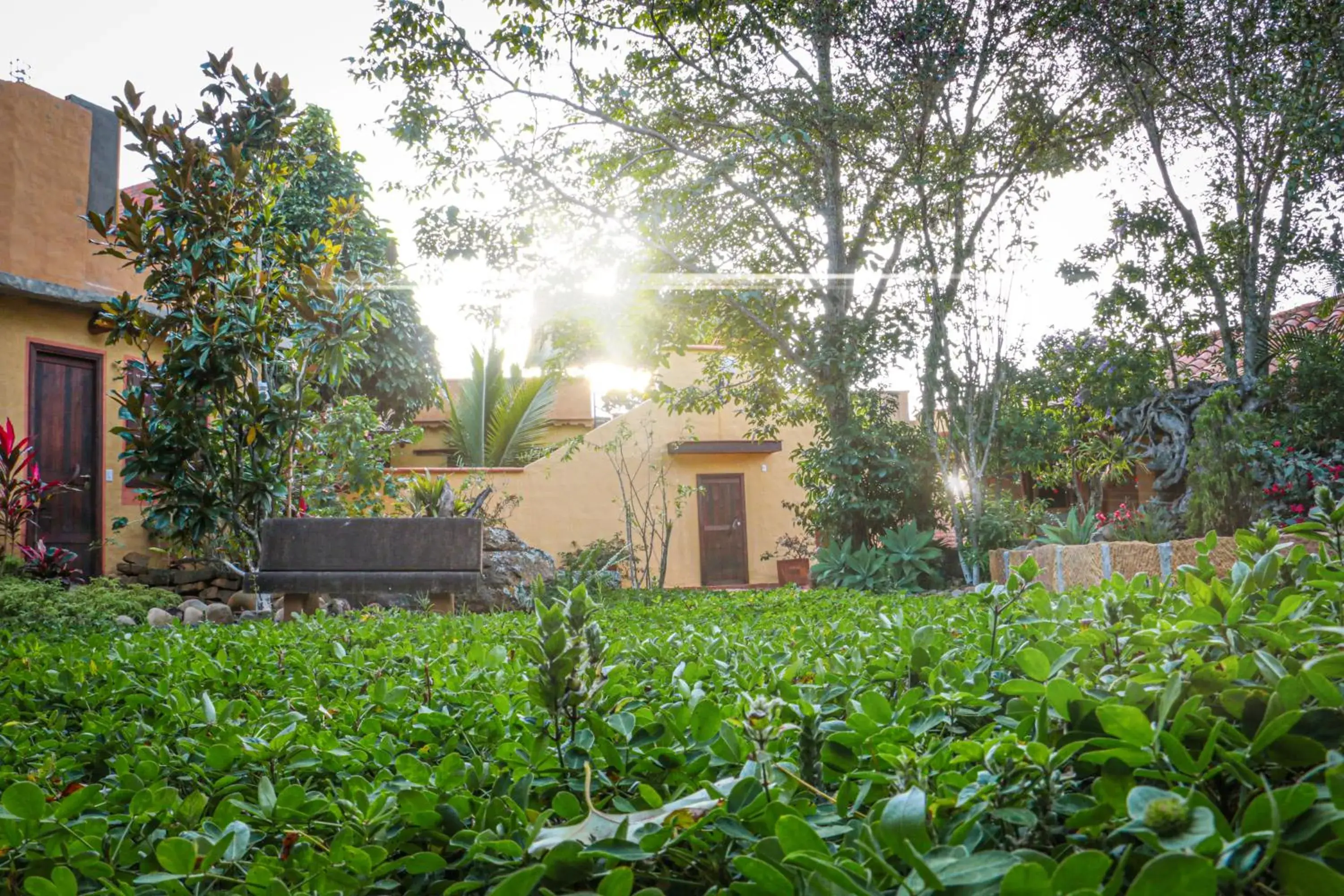 Natural landscape, Property Building in Hotel Terra Barichara