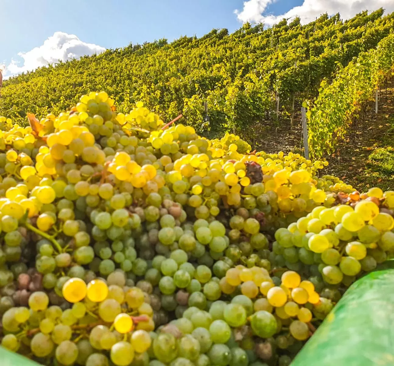 Staff in Moselhaus Weiskopf