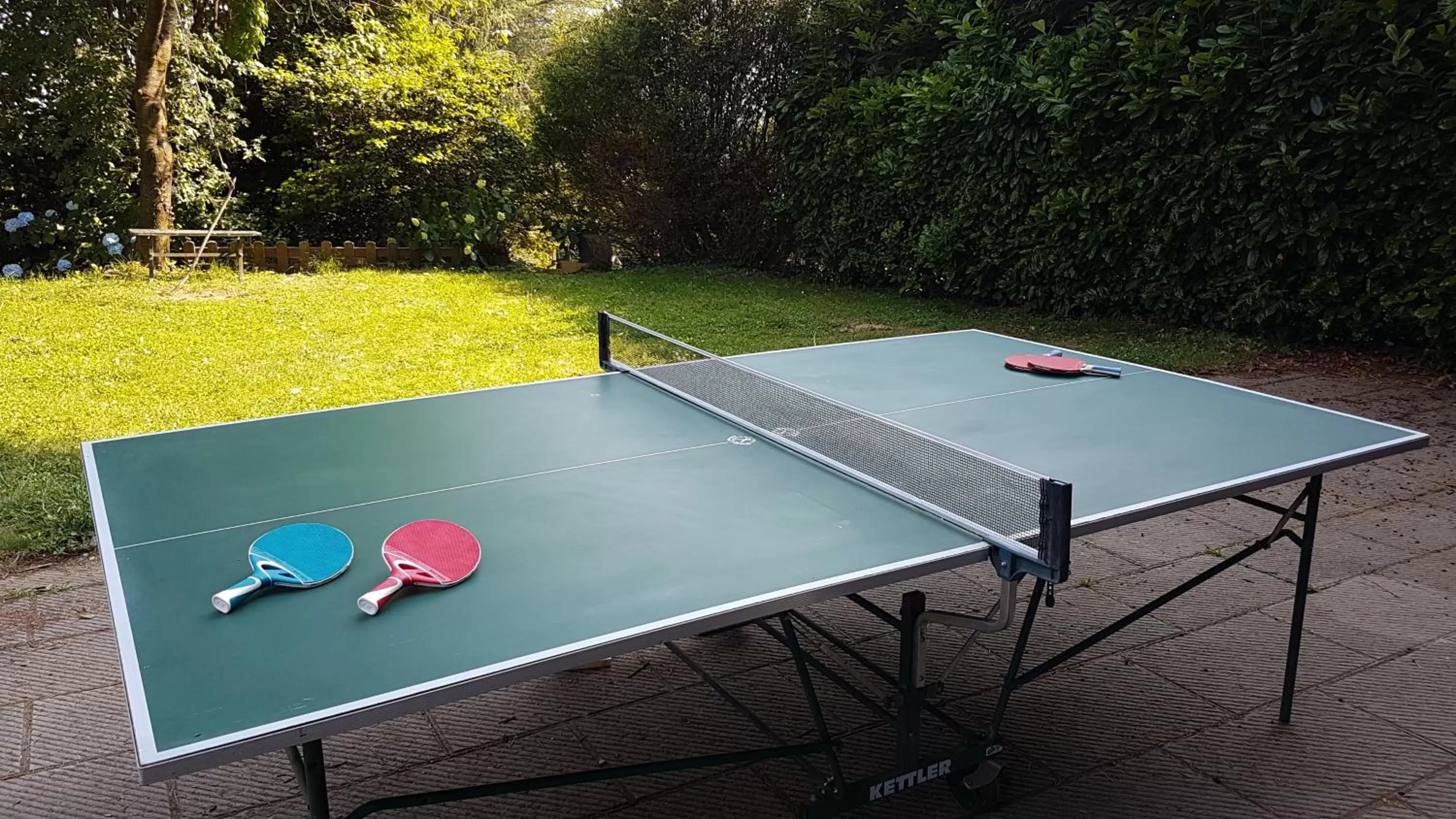 Table tennis in B&B Villa Tavallini