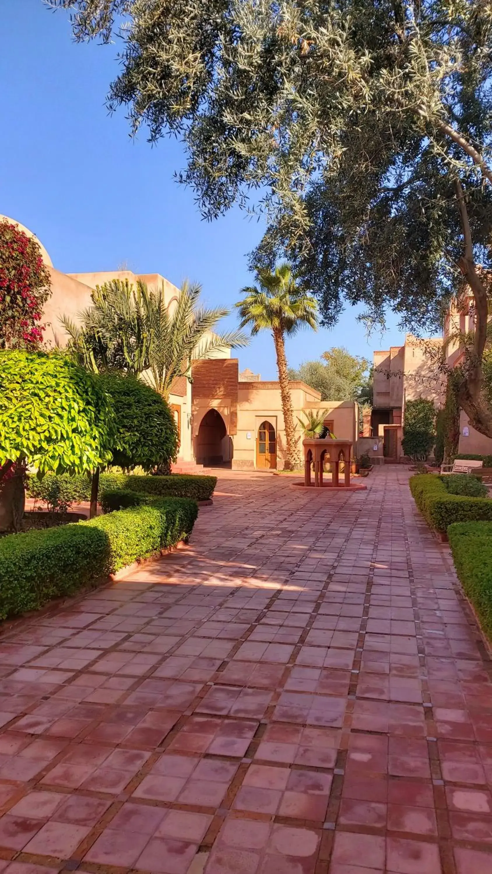 Garden, Property Building in La Maison Des Oliviers