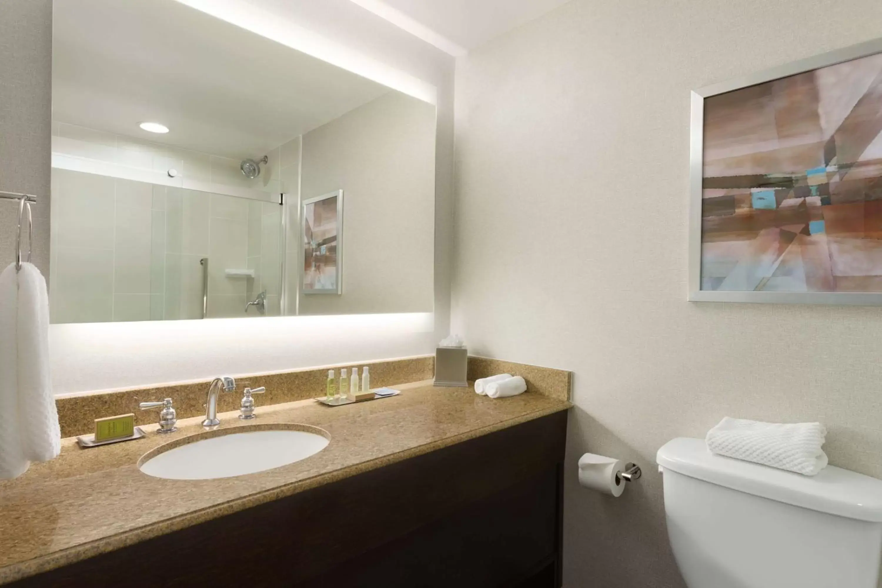 Bathroom in DoubleTree by Hilton Bradley International Airport