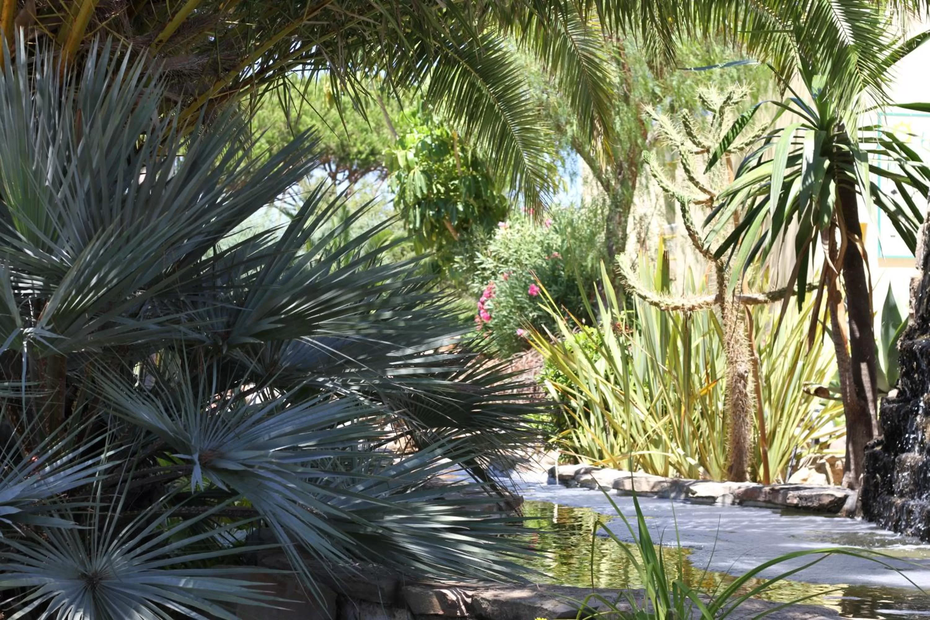 Other in Hotel Pinhal do Sol