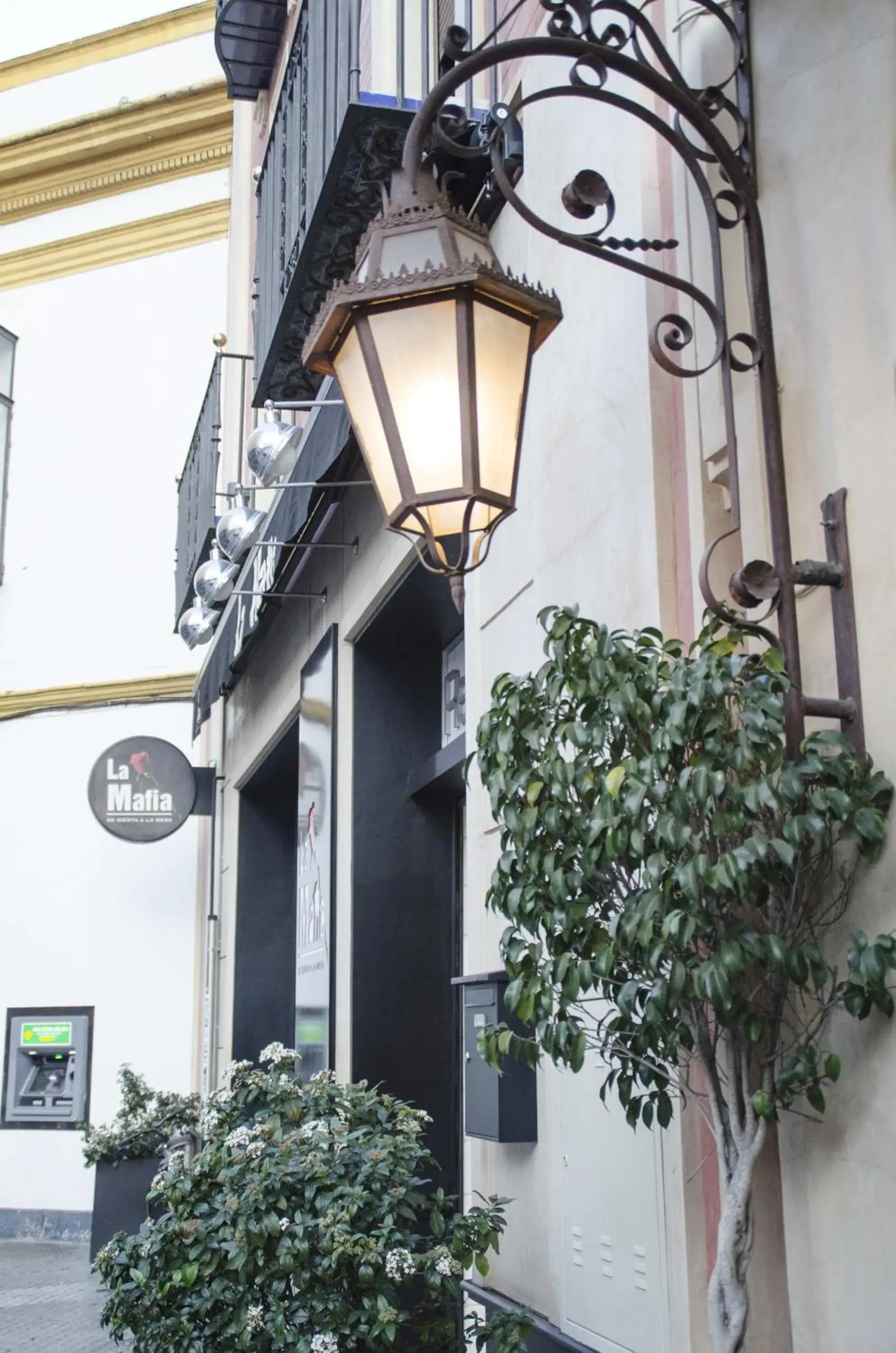 Bird's eye view in Hotel Duquesa Bird's eye view in Hotel Duquesa