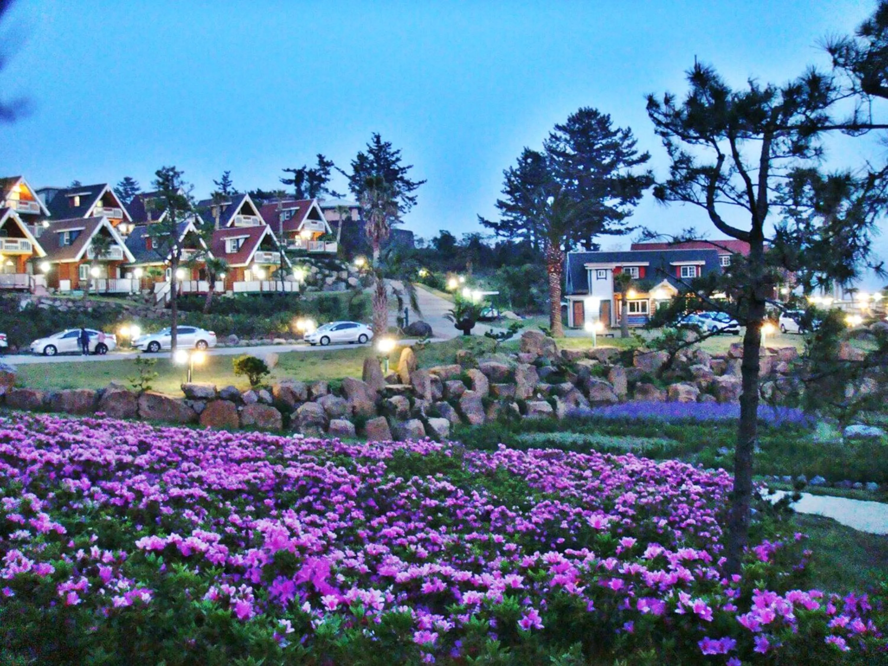 Area and facilities in Jungmun Log Pension & Resort