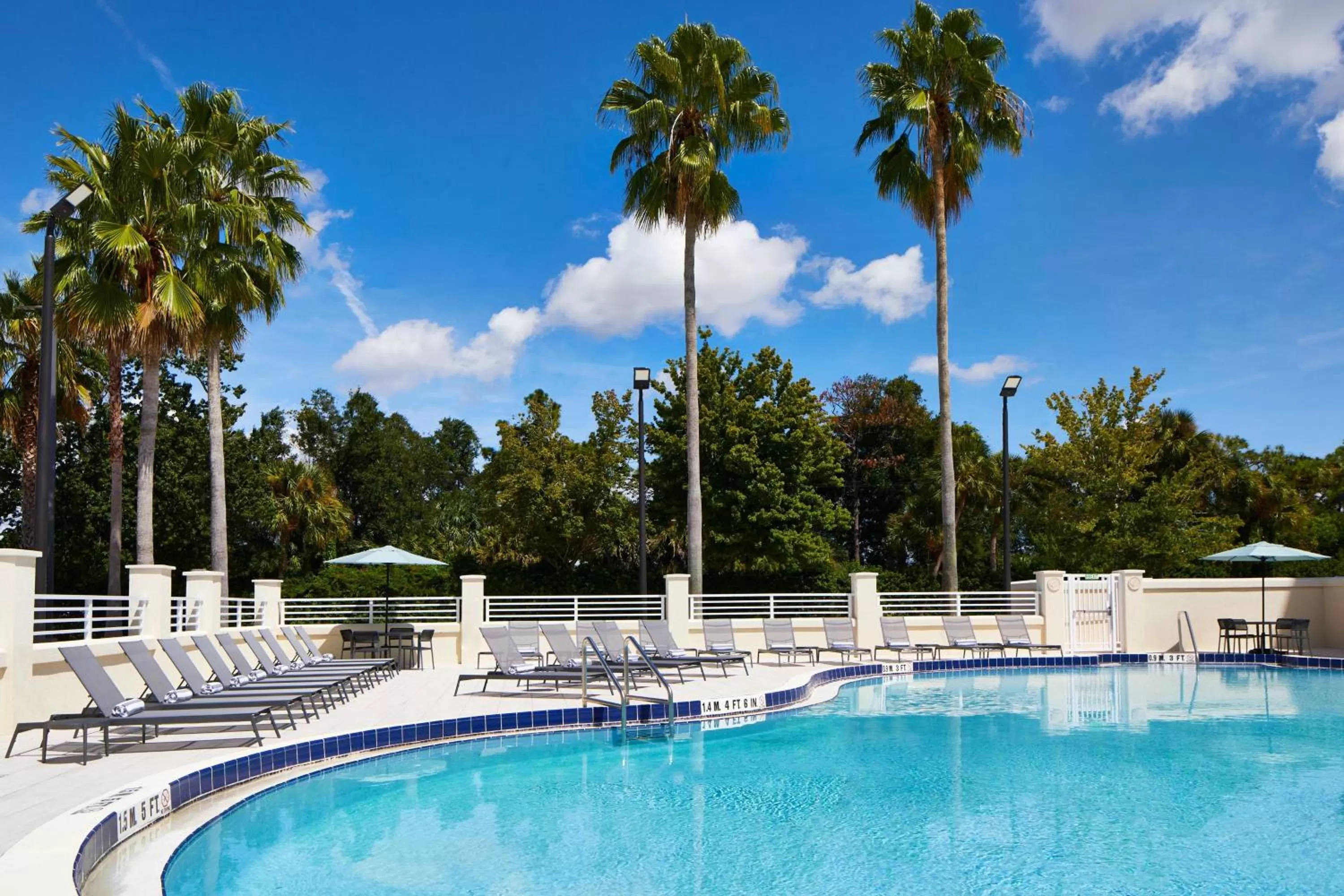 Swimming pool in AC Hotel by Marriott Orlando Lake Buena Vista