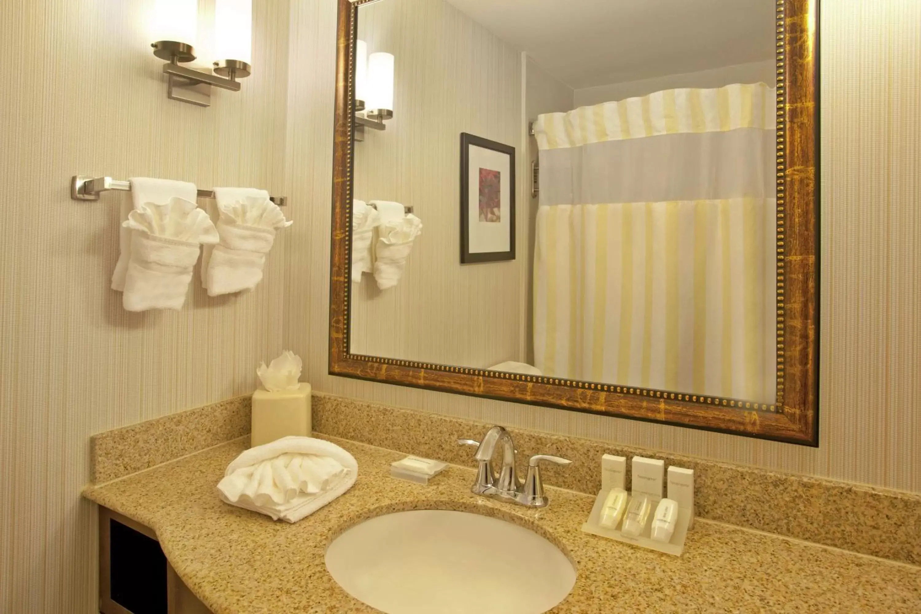 Bathroom in Hilton Garden Inn Minneapolis/Eden Prairie