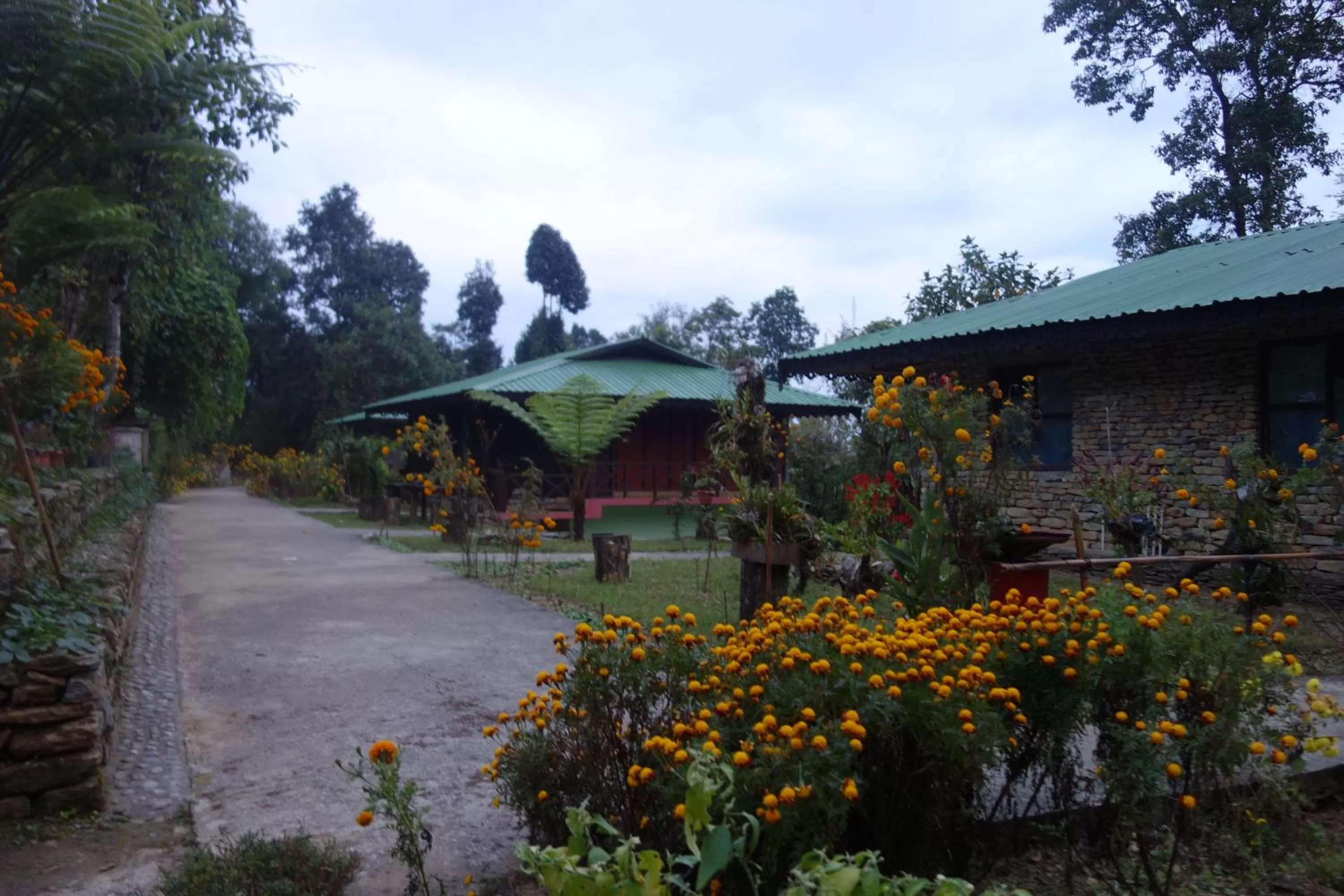 Property Building in The Barfung Retreat