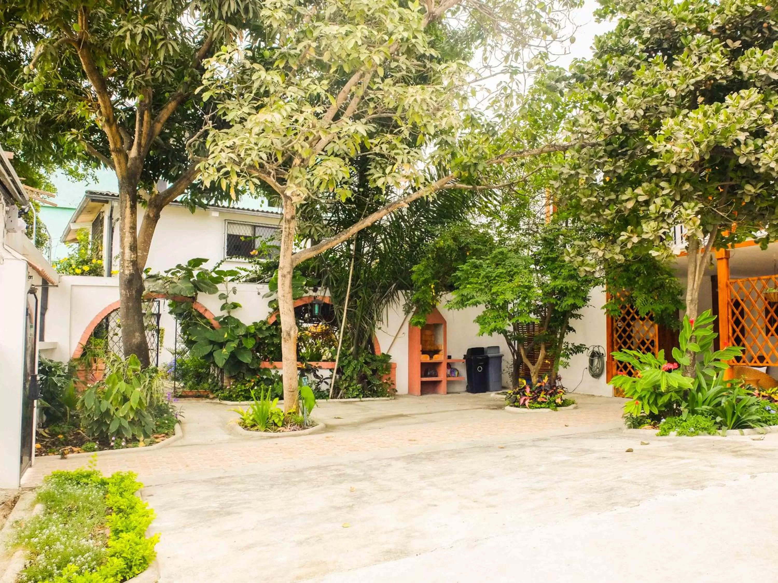 Patio in Hotel Boutique Platanal