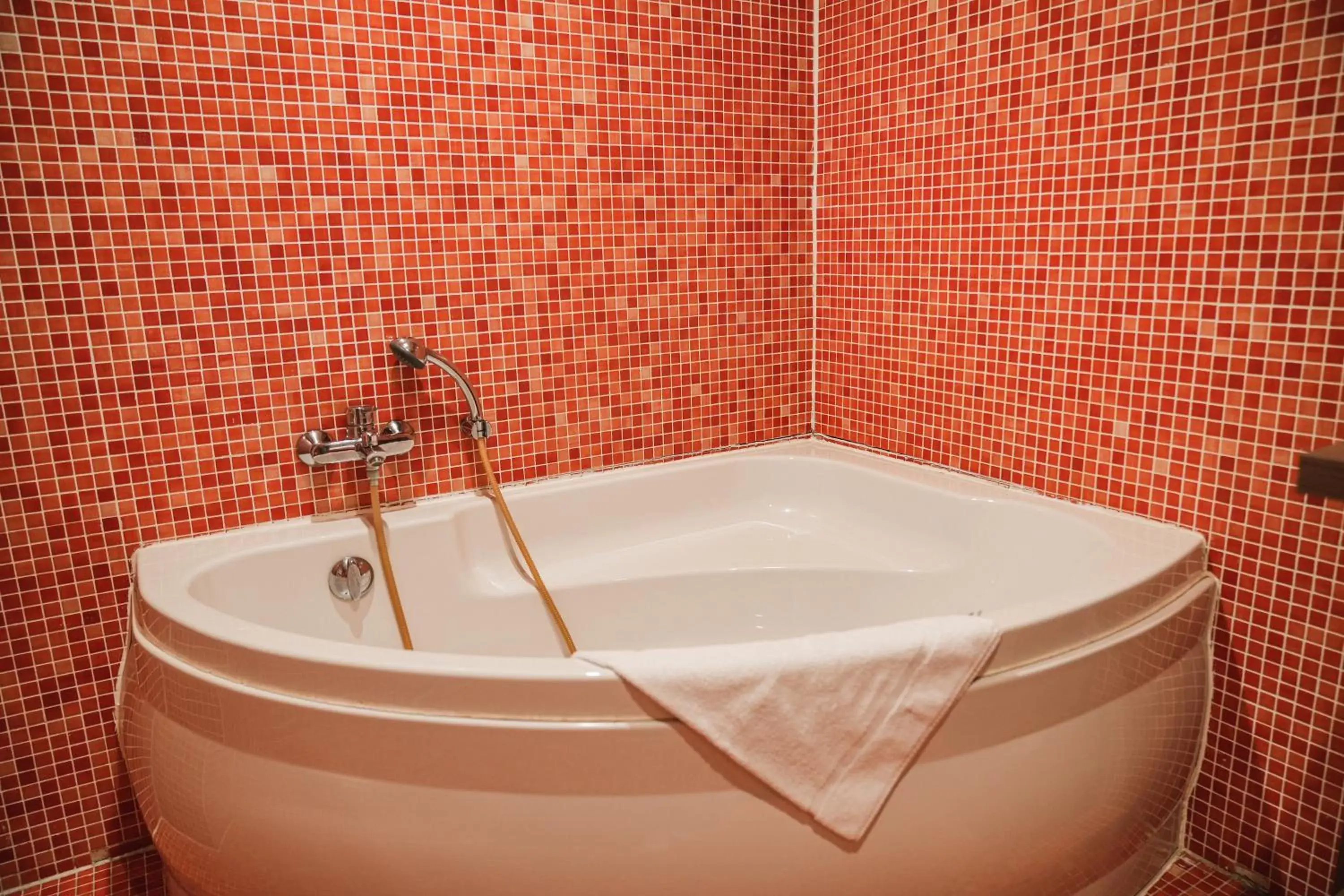 Hot Tub, Bathroom in Hotel Louisa