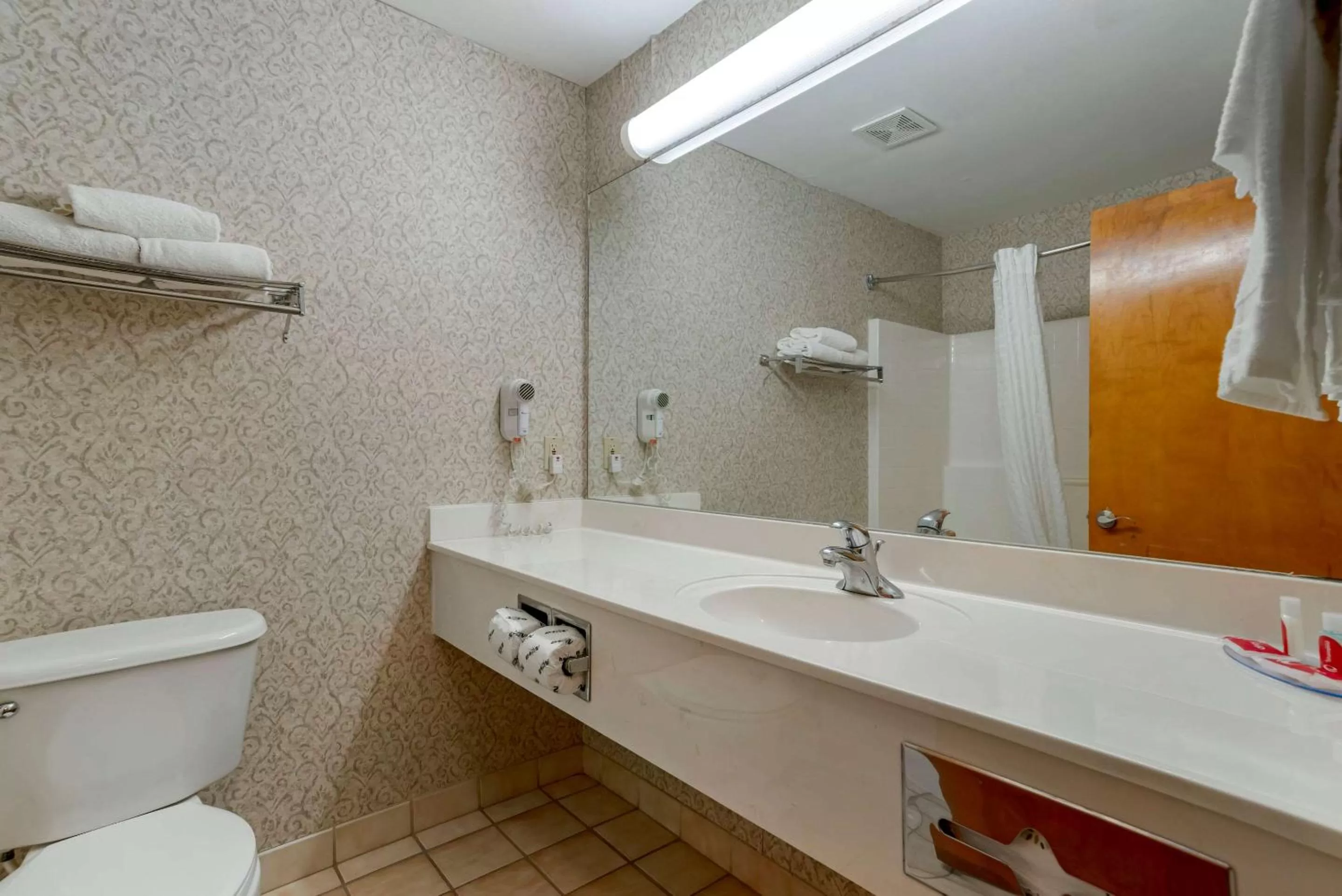 Bathroom in Econo Lodge Inn & Suites Flowood - Jackson Northwest