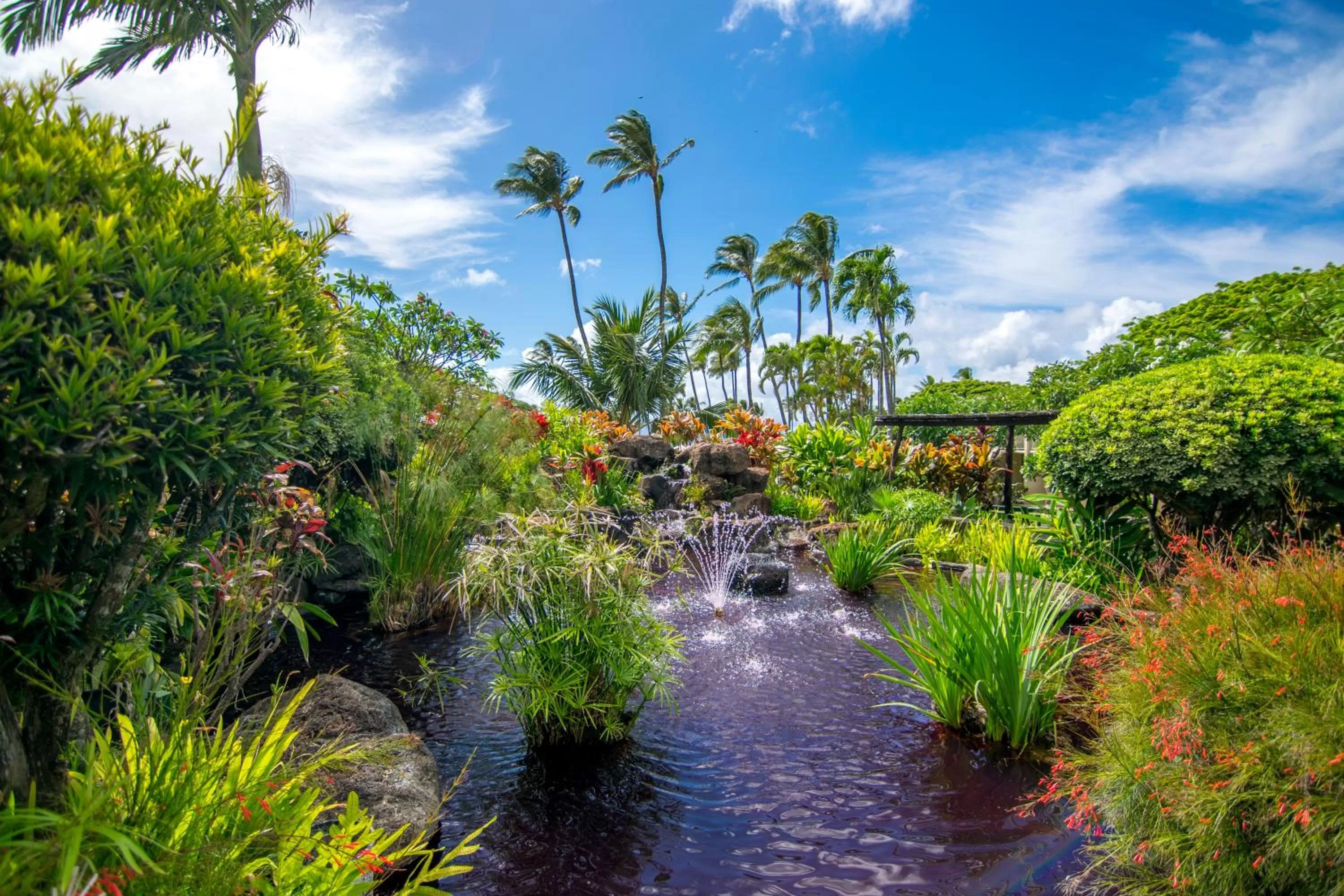 Garden in Napili Shores Maui by OUTRIGGER - No Resort & Housekeeping Fees