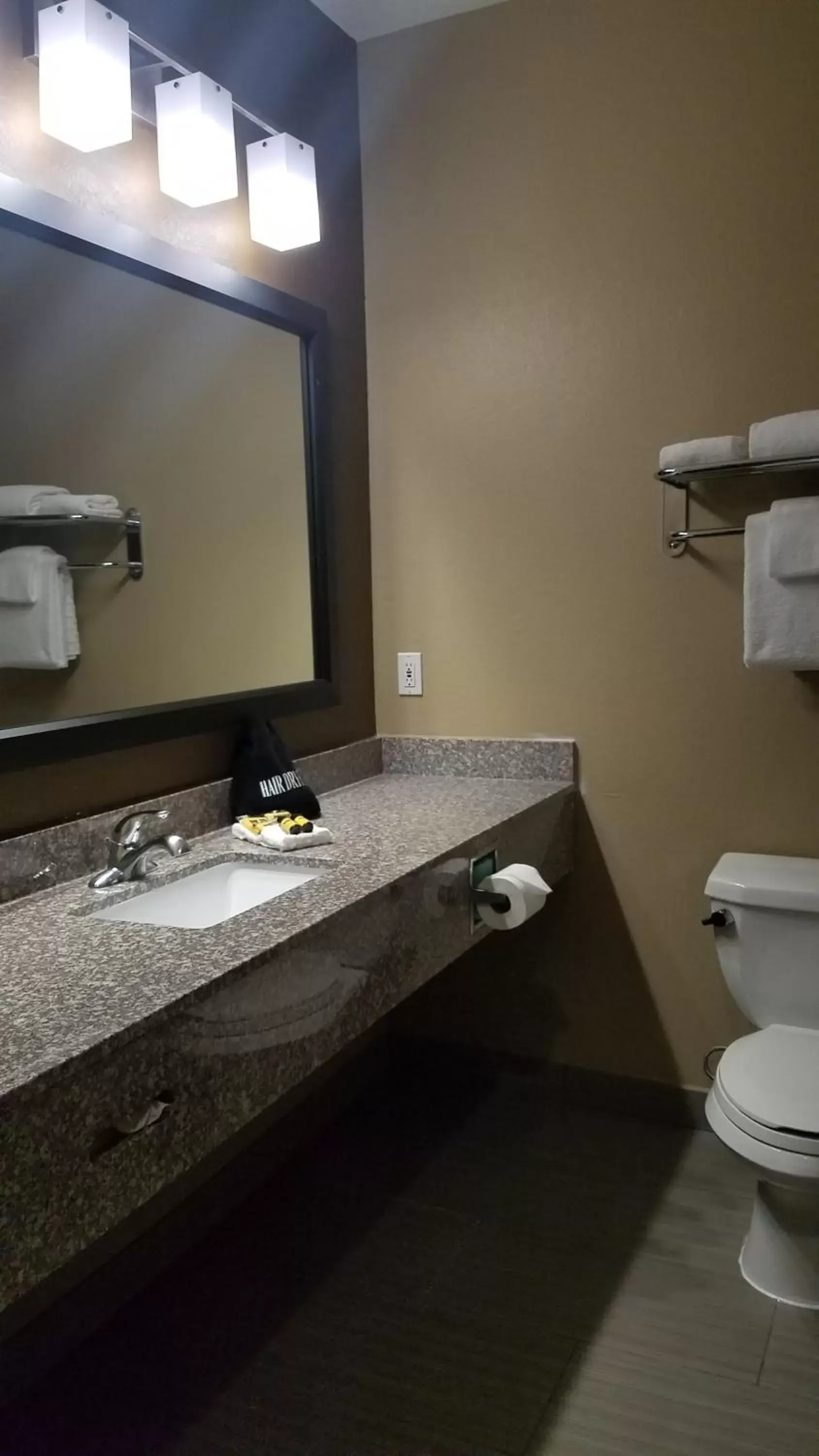 Toilet, Bathroom in Best Western Plus Heritage Inn Houston