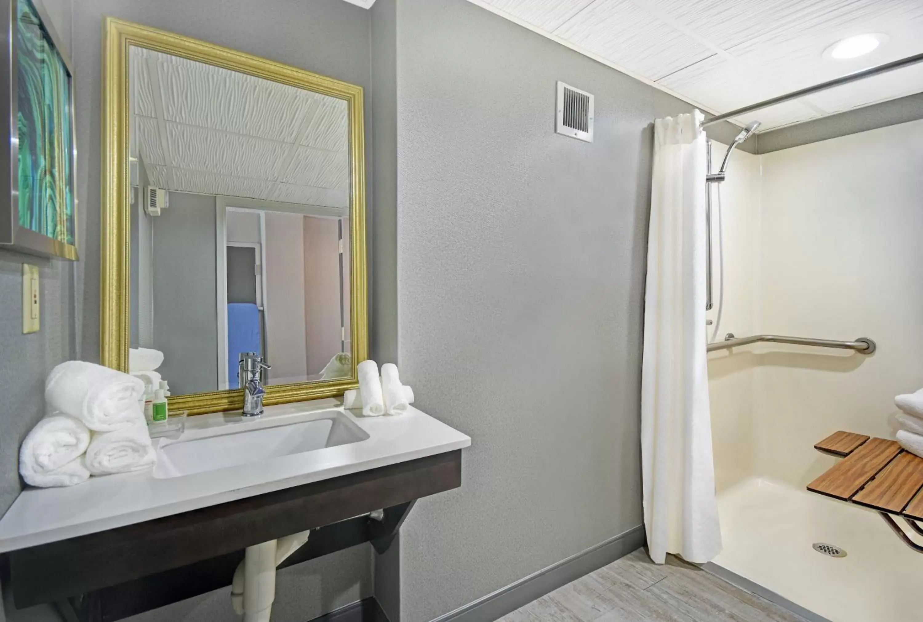 Bathroom in Holiday Inn - Memphis Downtown - Beale St. by IHG Bathroom in Holiday Inn - Memphis Downtown - Beale St. by IHG