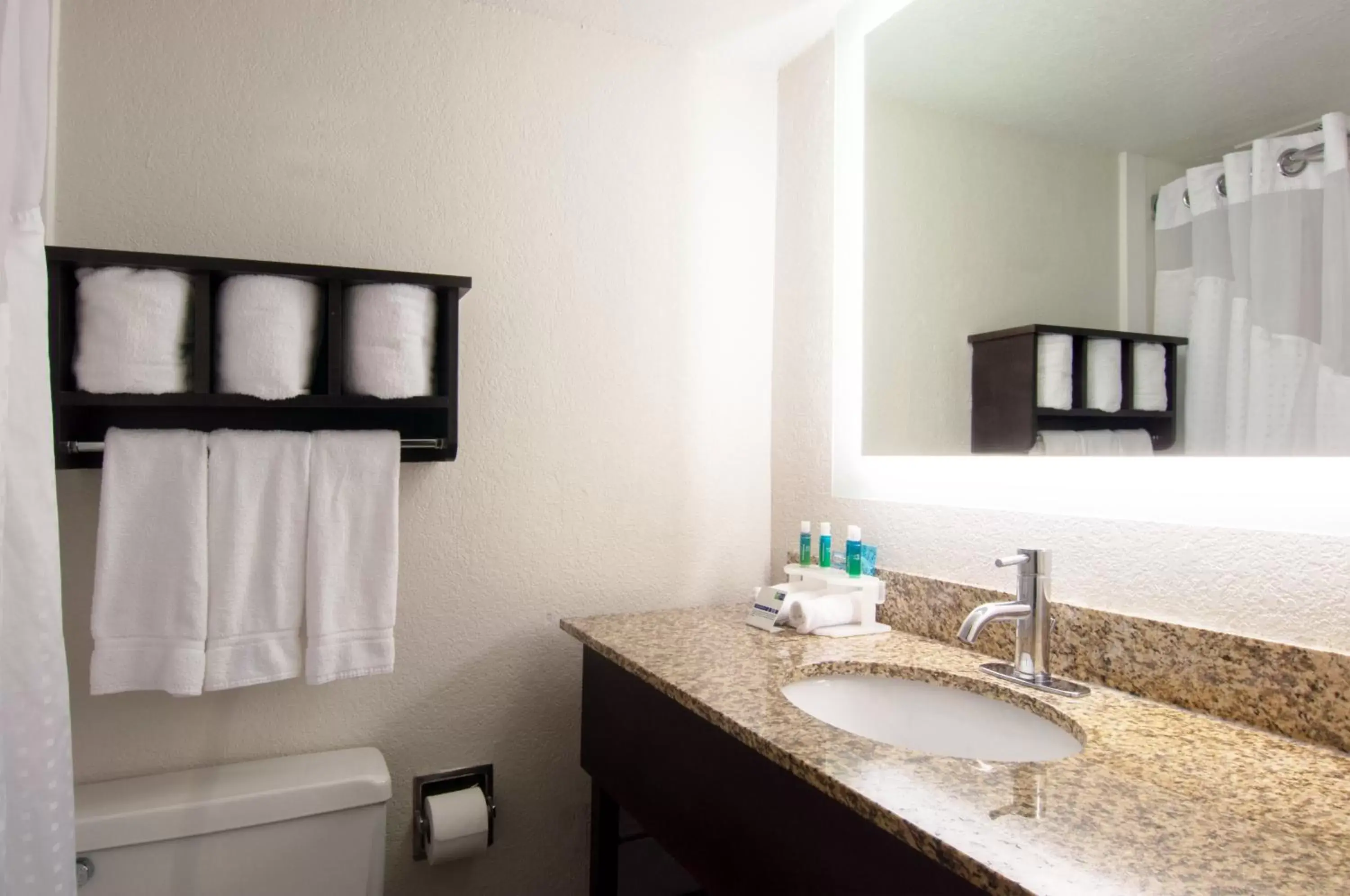 Photo of the whole room, Bathroom in Holiday Inn Express & Suites Nashville-I-40 & I-24(Spence Lane), an IHG Hotel