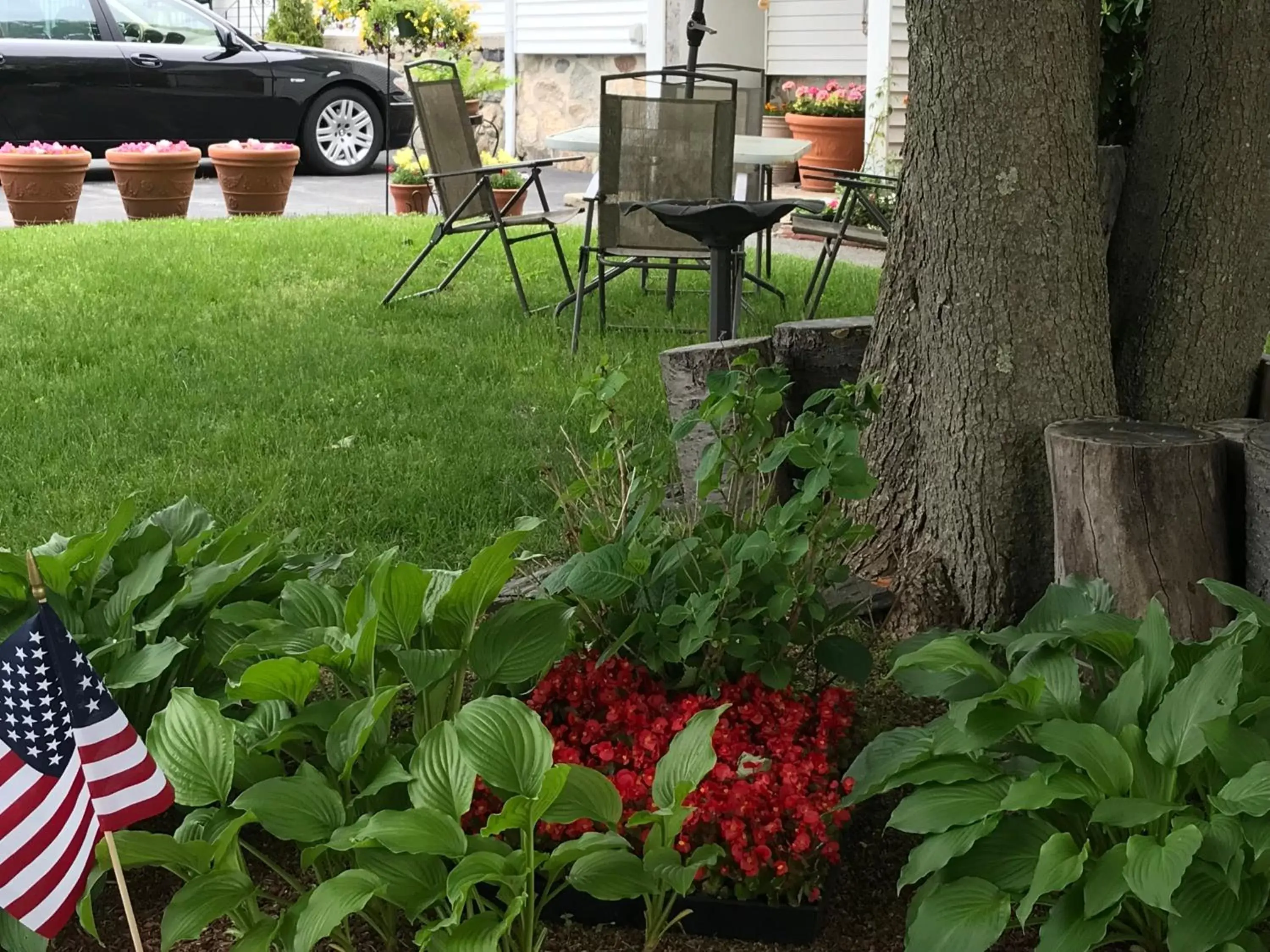 Garden in Founder's Brook Motel and Suites