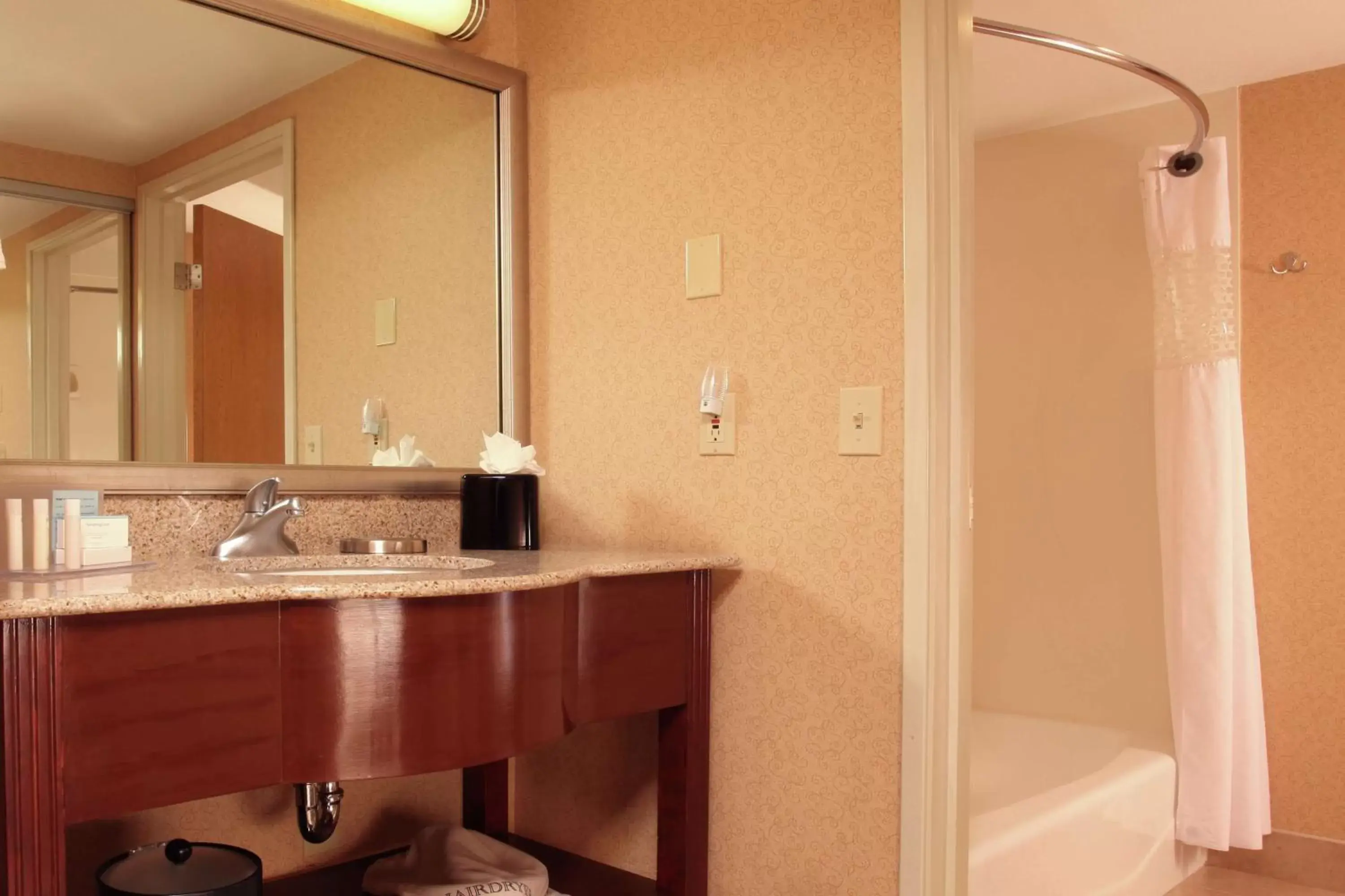 Bathroom in Hampton Inn By Hilton Spokane