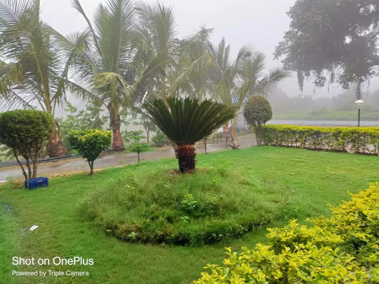 Hotel Nisarg Lodging And Restaurant